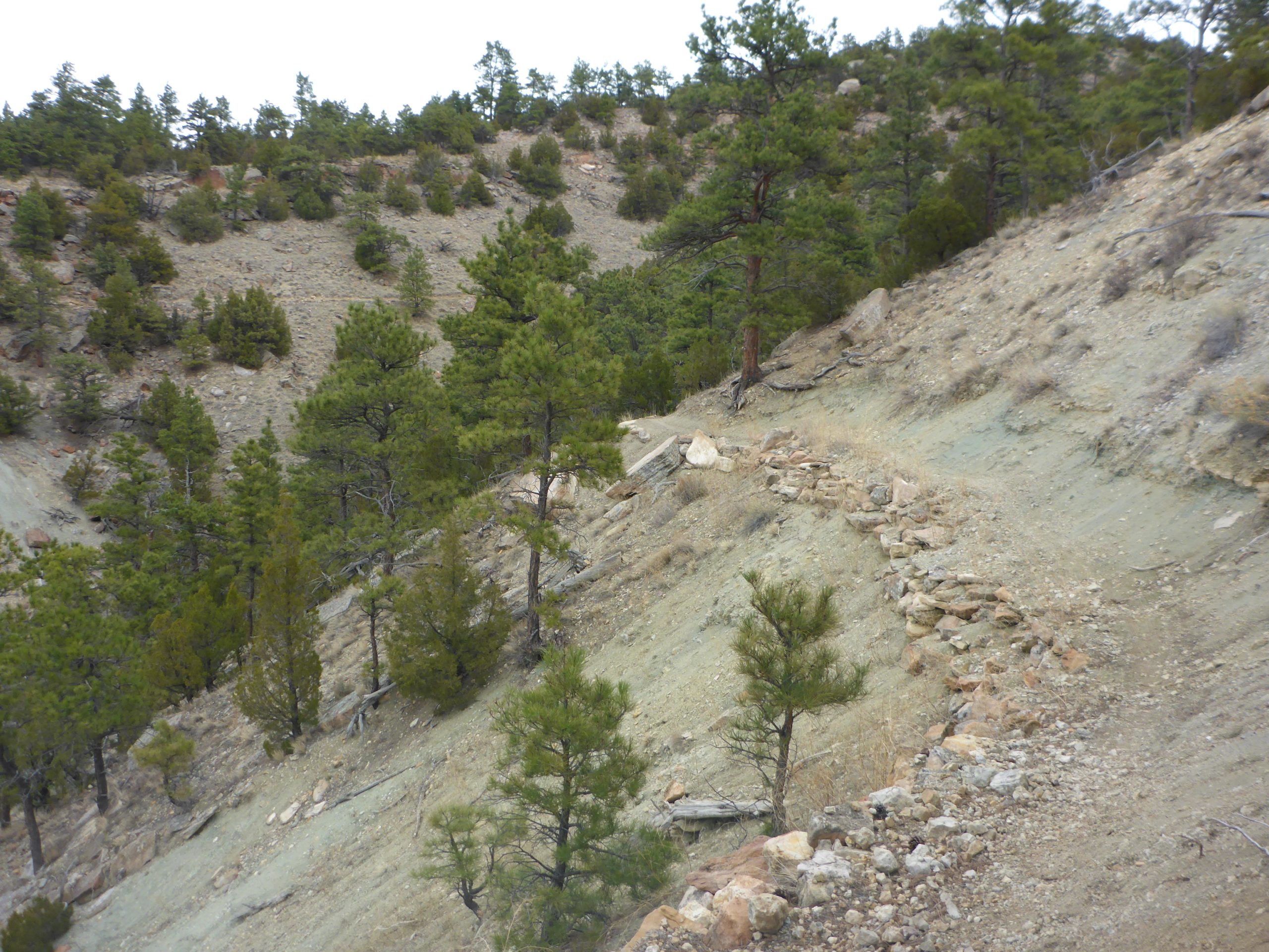 A winding dirt trail carved into a hillside, surrounded by clusters of green pine trees. The terrain features rocky elements and a mix of dirt and sparse vegetation, with a cloudy sky overhead. Glendo State Park mountain bike trail.