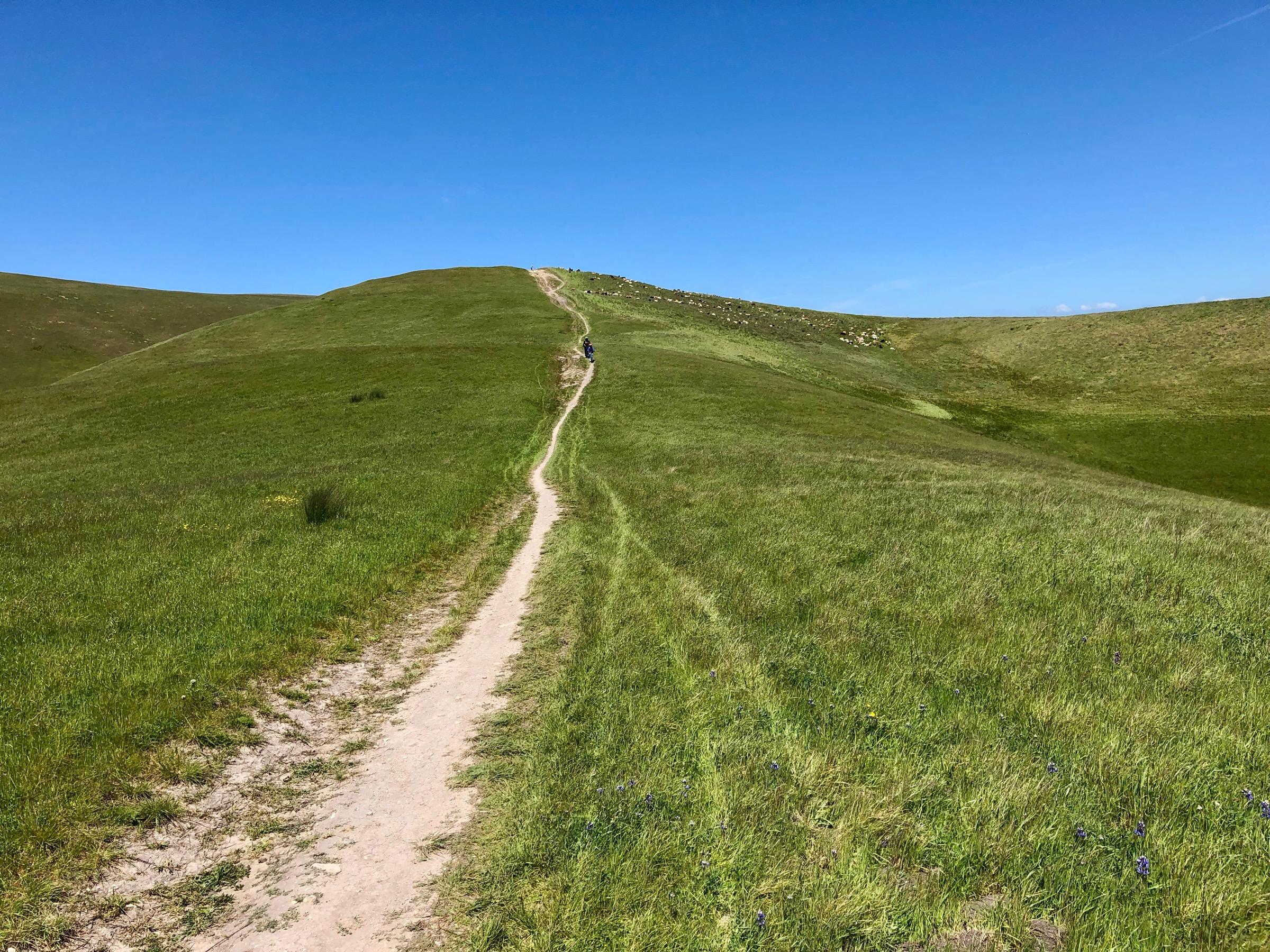 A winding dirt path leads through lush green hills under a clear blue sky. The landscape is open and expansive, with gentle slopes and patches of wildflowers visible along the path. A lone figure can be seen in the distance, walking along the trail towards the horizon. Fort Ord Public Lands mountain bike trail.