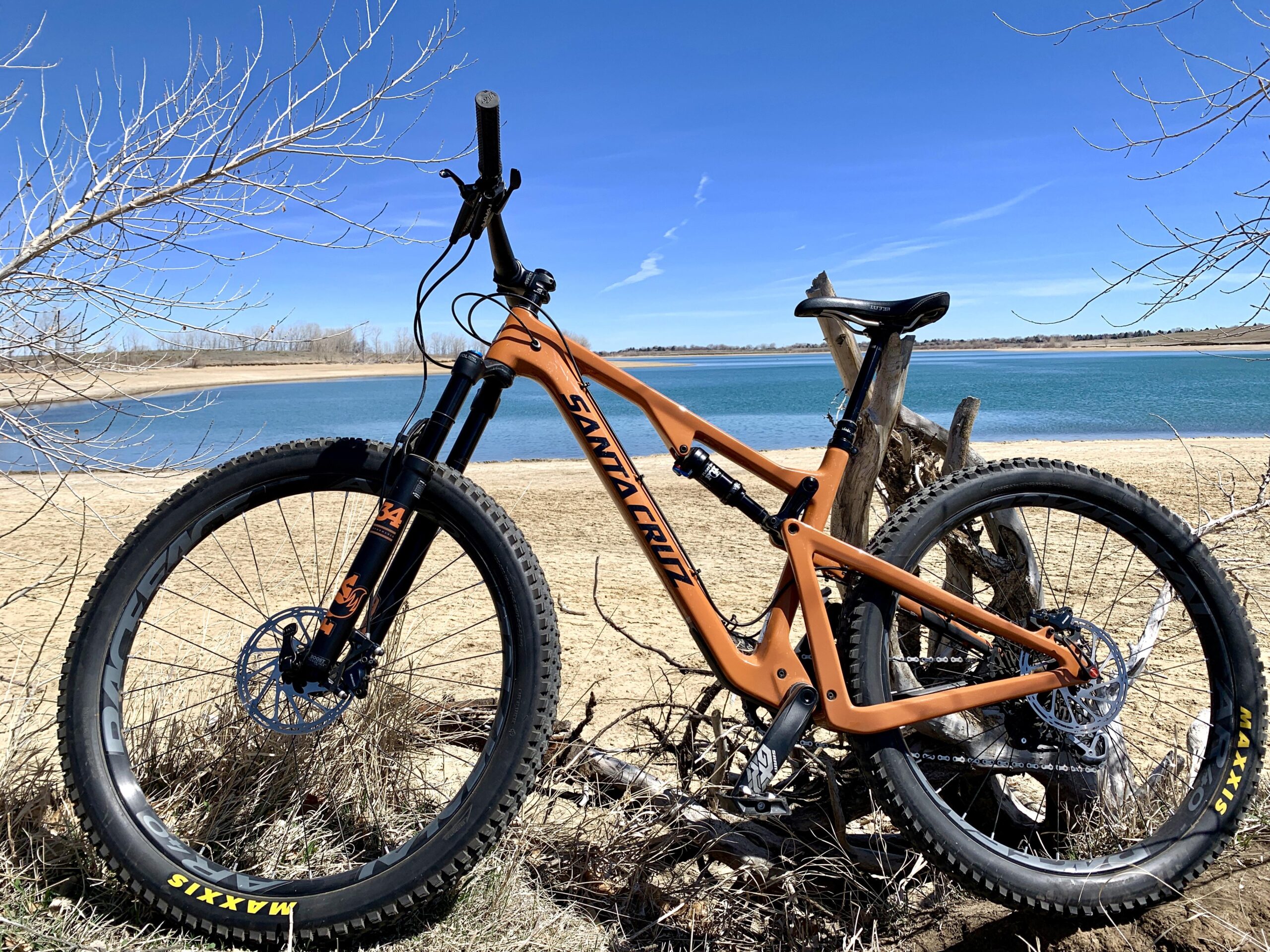 Santa Cruz Tallboy Carbon: A vibrant orange mountain bike resting against a bare tree branch, with a scenic view of a calm blue lake and sandy shoreline in the background. The sky is clear with a few wispy clouds.