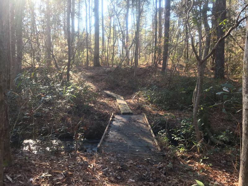A wooden bridge spans a small creek in a forested area, surrounded by tall trees and underbrush. Sunlight filters through the branches, illuminating the scene with a warm glow. Fallen leaves cover the ground, adding to the natural autumn atmosphere. Palmetto Trail (Gate 5) mountain bike trail.