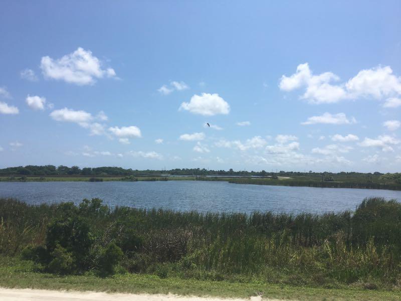 A serene landscape featuring a calm body of water surrounded by lush greenery under a clear blue sky with scattered clouds. The scene captures the tranquility of nature, with tall grasses and shrubs lining the water