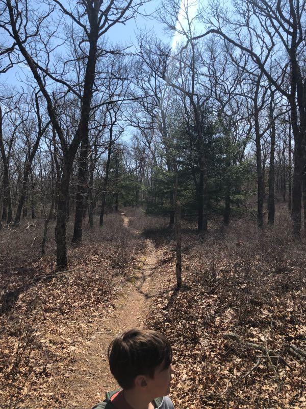 A narrow dirt trail winding through a wooded area with sparse, leafless trees and a few evergreen trees in the background. In the foreground, a young individual with short hair and a backpack is partially visible, looking towards the trail ahead under a clear blue sky. The ground is covered with brown, fallen leaves. Burlingame State Park mountain bike trail.