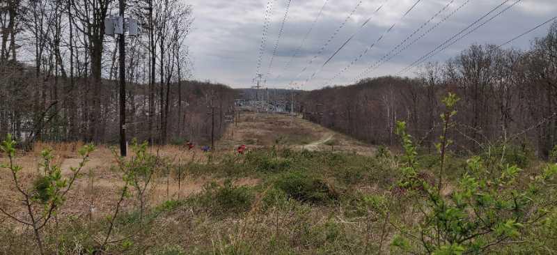 A panoramic view of a rural landscape featuring power lines stretching through an open field bordered by trees. The scene shows overgrown grass and shrubs in the foreground, with a path leading towards the background where a cluster of buildings can be seen, partly obscured by trees. The sky is cloudy, adding a muted tone to the overall image. Wakefield mountain bike trail.