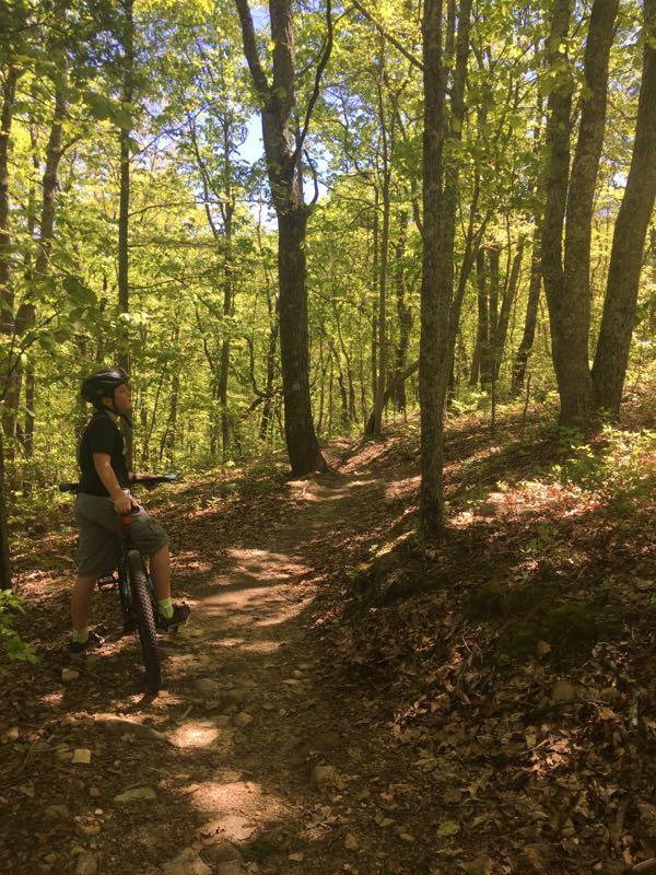 A person wearing a helmet stands next to a mountain bike on a trail surrounded by lush green trees and foliage, with sunlight filtering through the leaves. The path ahead splits into two directions, inviting exploration in a natural forest setting. Coldwater Mountain mountain bike trail.