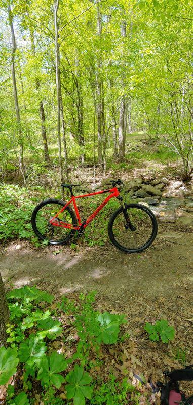 A vibrant red mountain bike is parked on a dirt path surrounded by lush green foliage and trees in a sunny forest setting. In the background, a small stream and rock formation enhance the natural scenery. Legend Park mountain bike trail.