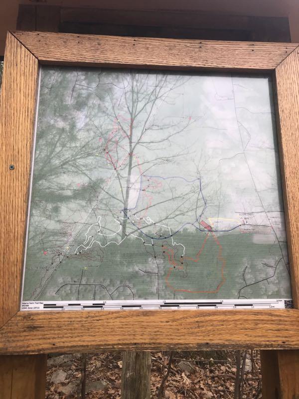 A map displayed in a wooden frame, showing various trails and routes marked in different colors. The background is partially obscured by the reflection of a tree, and the map includes legends for trail classification. The bottom of the frame features a scale bar for distance measurement. Adams Farm mountain bike trail.
