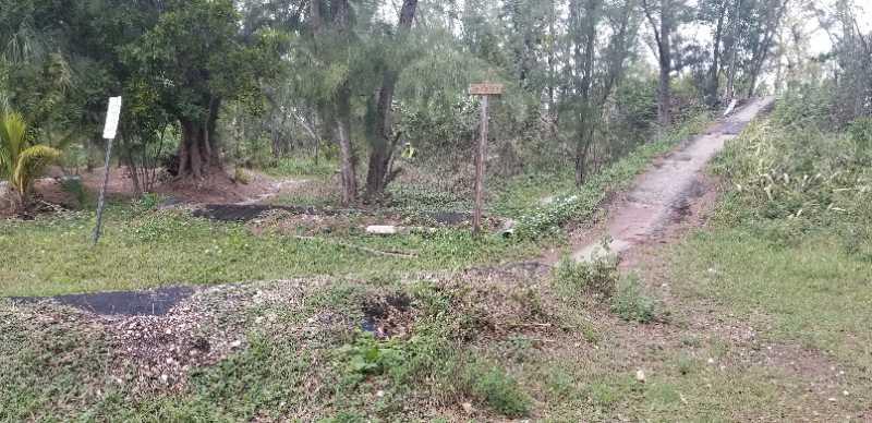 A grassy area with scattered trees and bushes, featuring a dirt path leading uphill on the right. A wooden signpost stands on the left, alongside a small path. The ground is uneven with patches of bare soil and some debris. Amelia Earhart Park mountain bike trail.