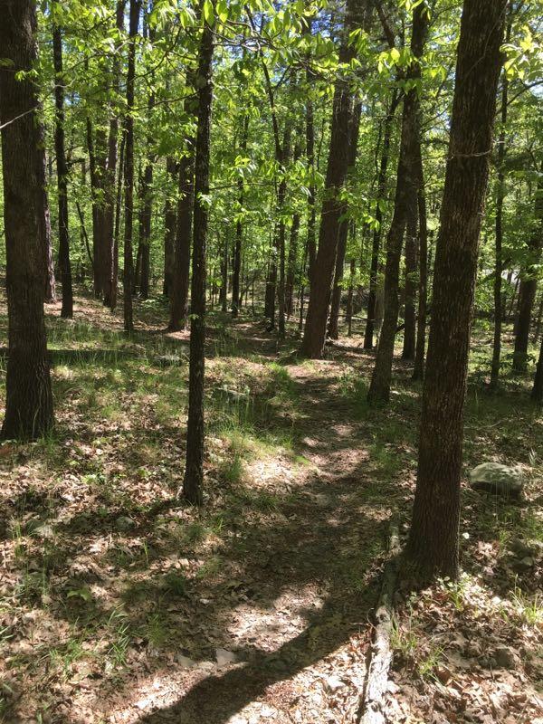 Rabbit Ridge Trail Mountain Bike Trail in Little Rock, Arkansas