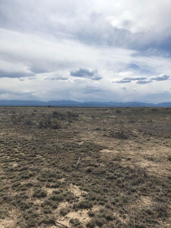 A wide, open landscape featuring sparse vegetation and dry, sandy ground under a cloudy sky, with distant mountains visible on the horizon. Pedro's Point mountain bike trail.