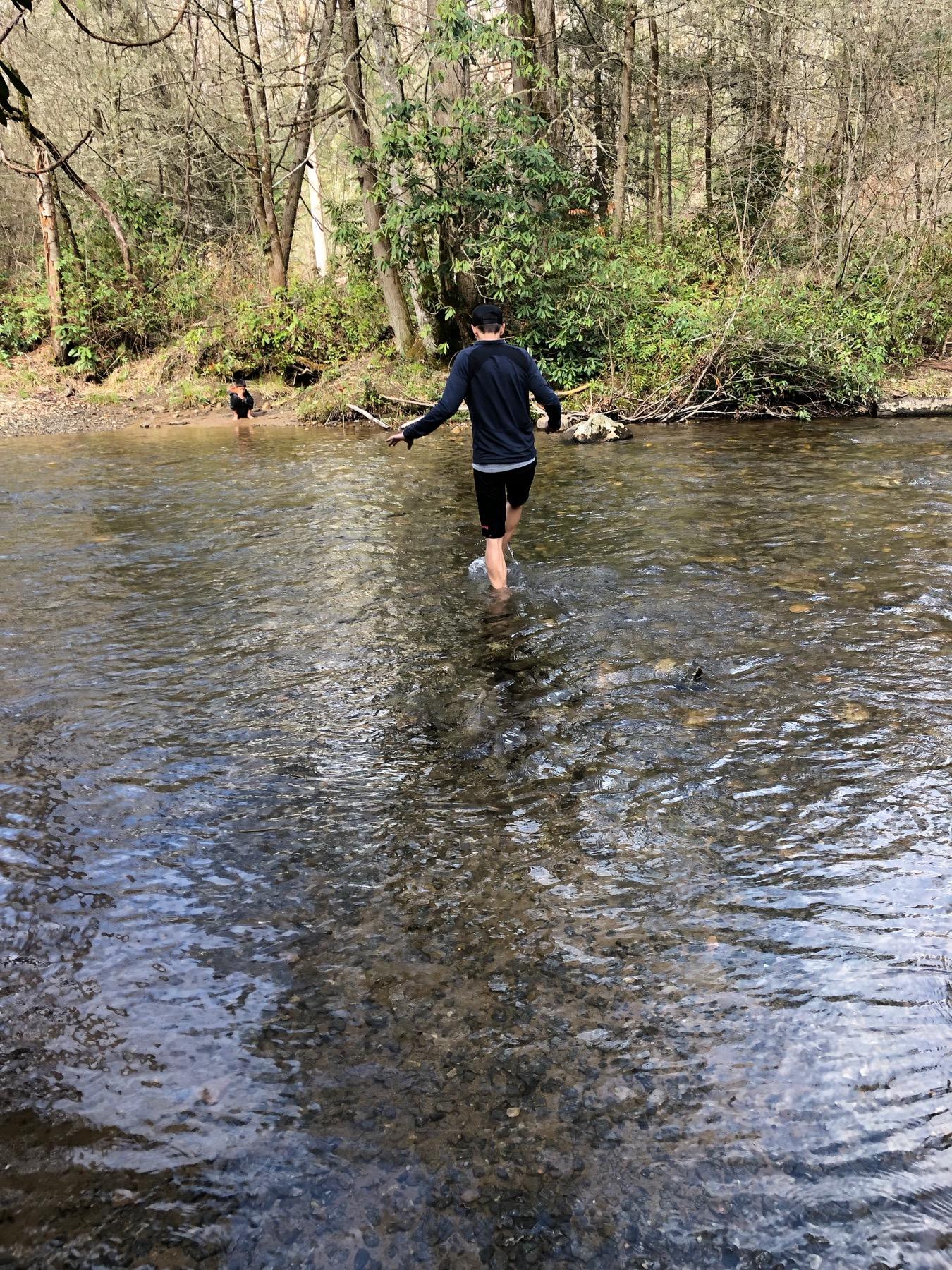 North Mills River 353 Mountain Bike Trail in Mills River, North