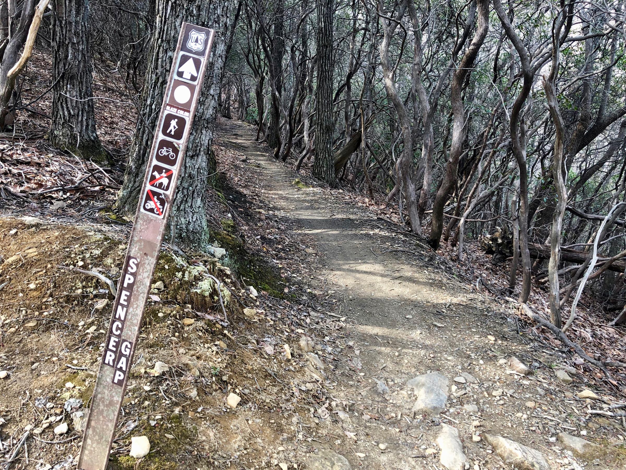 Trail sign marking the Spencer Gap trailhead, indicating various permitted activities such as hiking and biking, with a dirt path winding through dense trees and underbrush. Spencer Gap mountain bike trail.