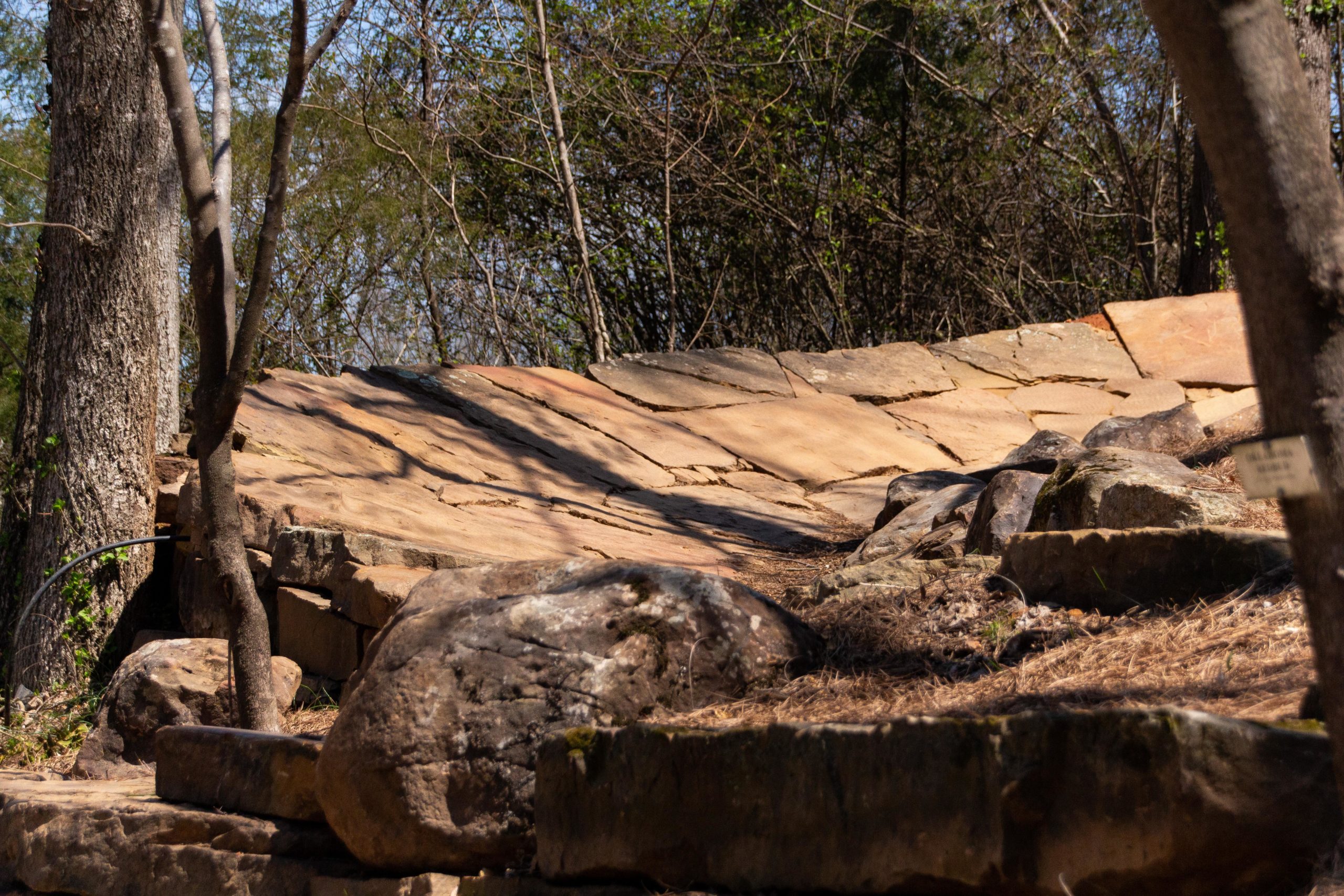 A natural landscape featuring a rocky slope made of large, flat stones, surrounded by trees and shrubs. The sunlight casts shadows on the rocks, and pine needles are scattered on the ground. Slaughter Pen Trail mountain bike trail.