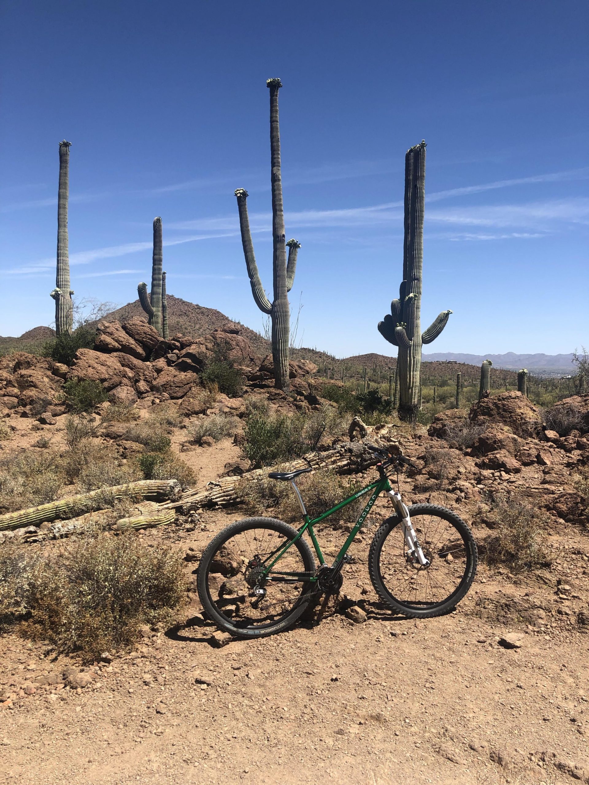 A mountain bike resting on a dirt trail surrounded by rocky terrain and tall cacti under a clear blue sky. Sweetwater Preserve mountain bike trail.