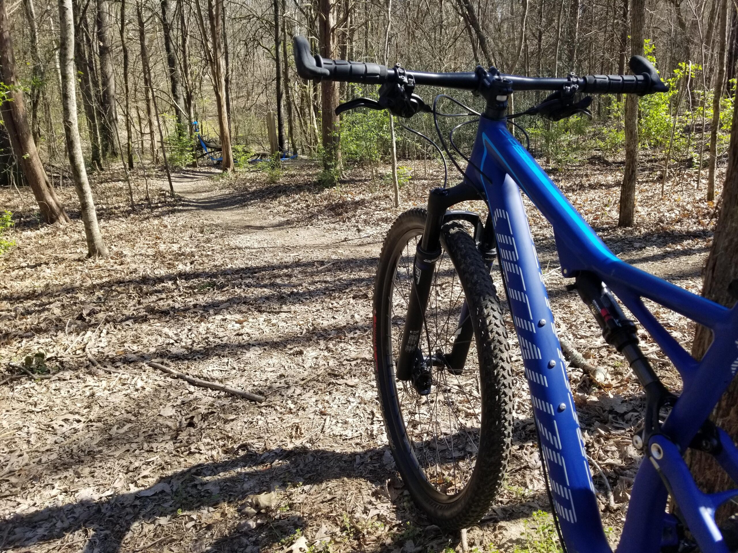Specialized Epic Comp 29er: A blue mountain bike is positioned in the foreground, resting on a path covered with fallen leaves. In the background, a winding trail leads deeper into a wooded area with tall trees and sparse underbrush, suggesting a natural and serene outdoor setting.