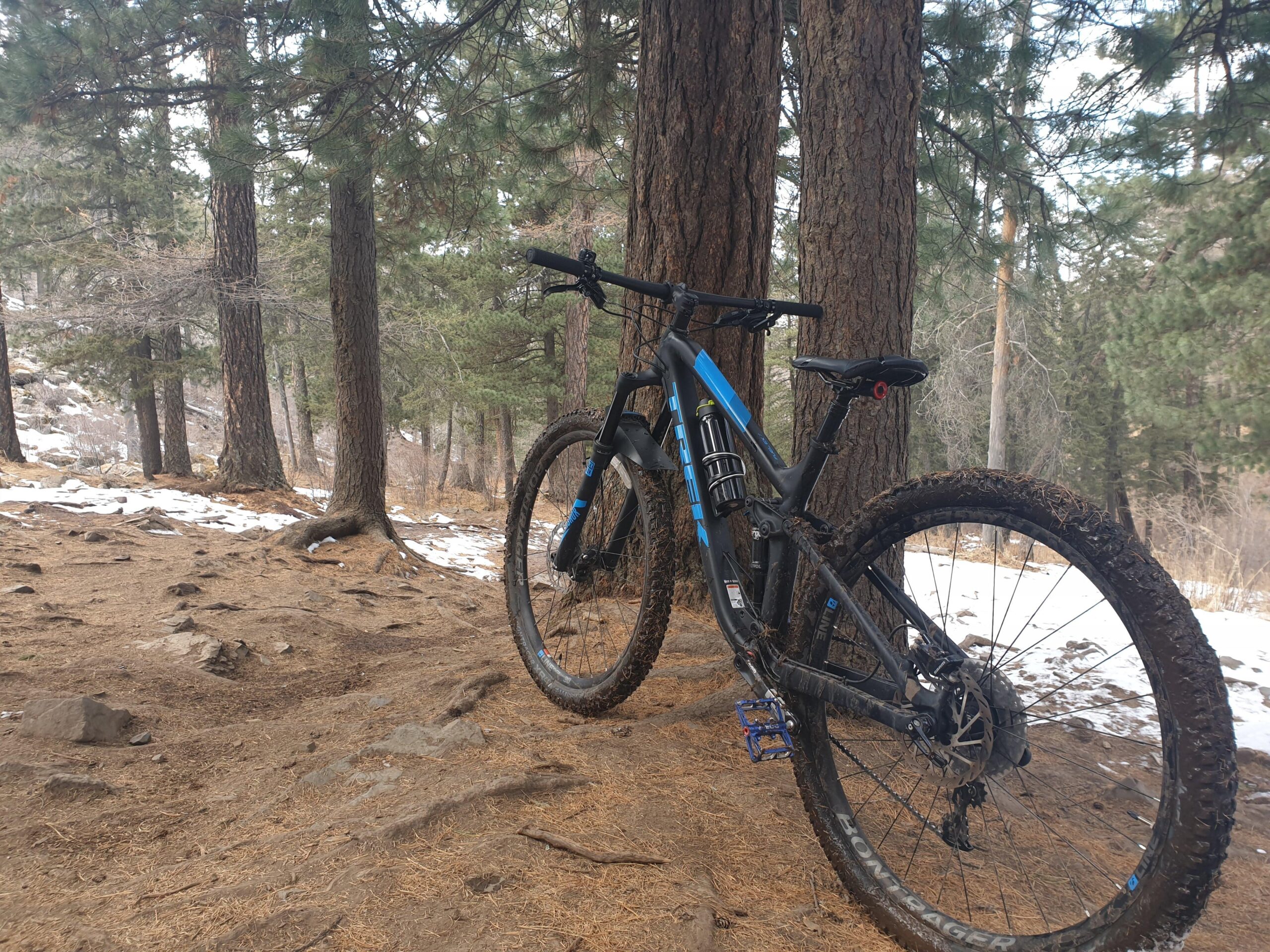 Trek Fuel EX 7 29: A mountain bike leaning against a tree in a forested area, with a mix of dirt, rocks, and patches of snow on the ground. Lush green pine trees surround the scene, indicating a natural outdoor setting.