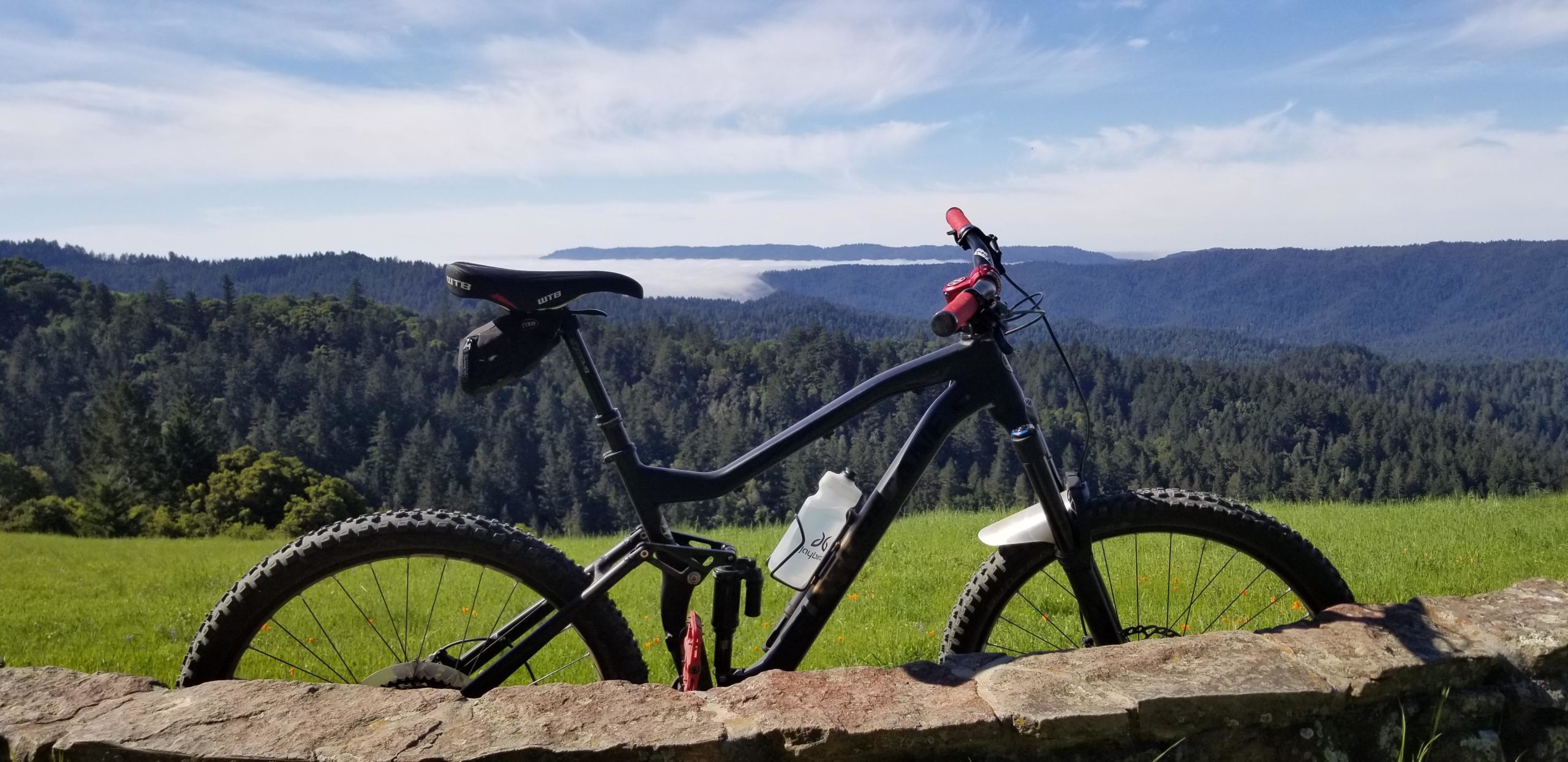 Mountain bike leaning against a stone wall with a scenic view of rolling hills and a forested landscape under a clear blue sky. A water bottle is attached to the bike, and the foreground features vibrant green grass and wildflowers. Saratoga Gap mountain bike trail.