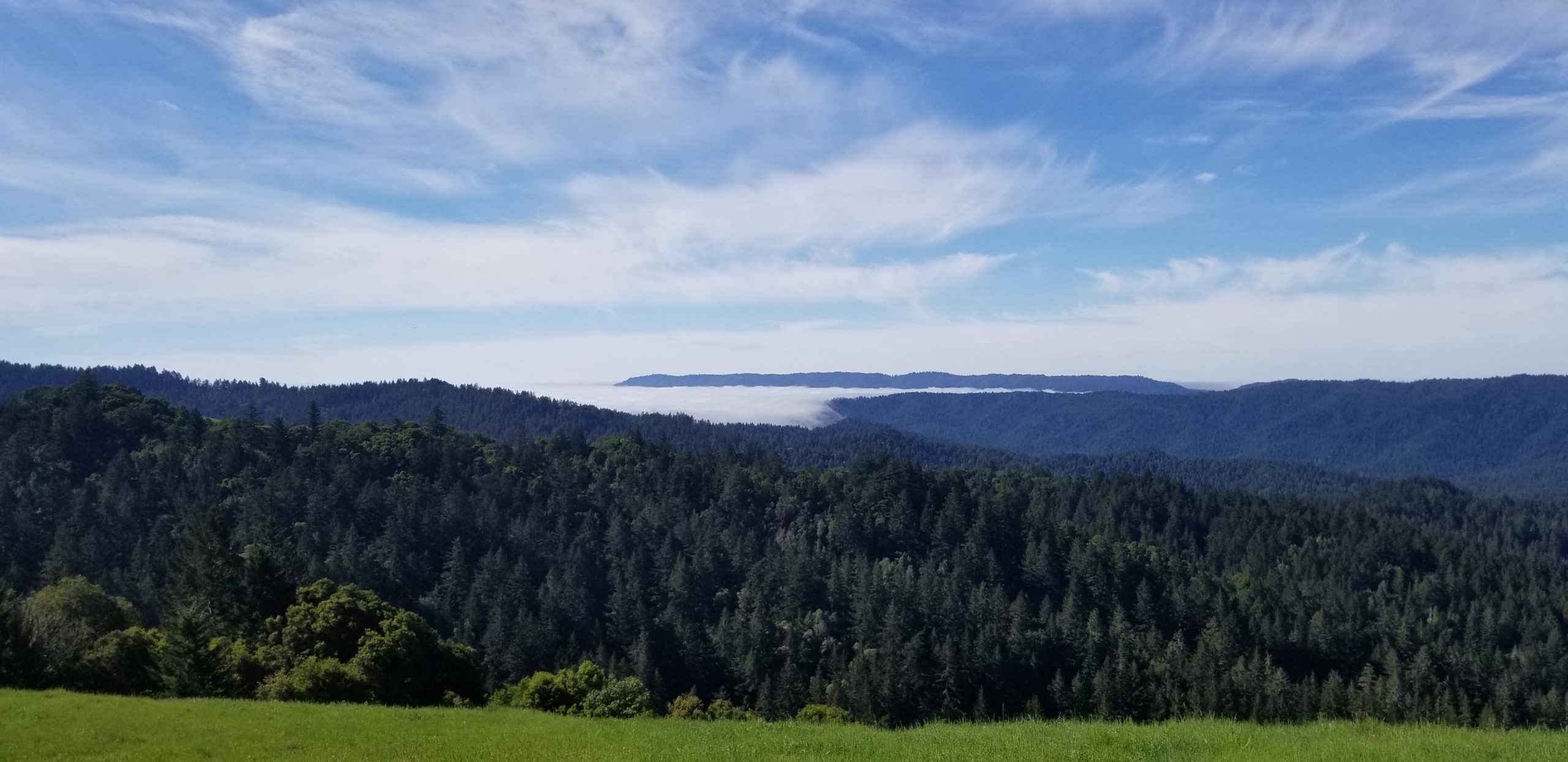 A panoramic view of lush green forests stretching across rolling hills under a bright blue sky with wispy clouds. In the distance, a blanket of fog sits in the valley, creating a serene and tranquil landscape. Saratoga Gap mountain bike trail.