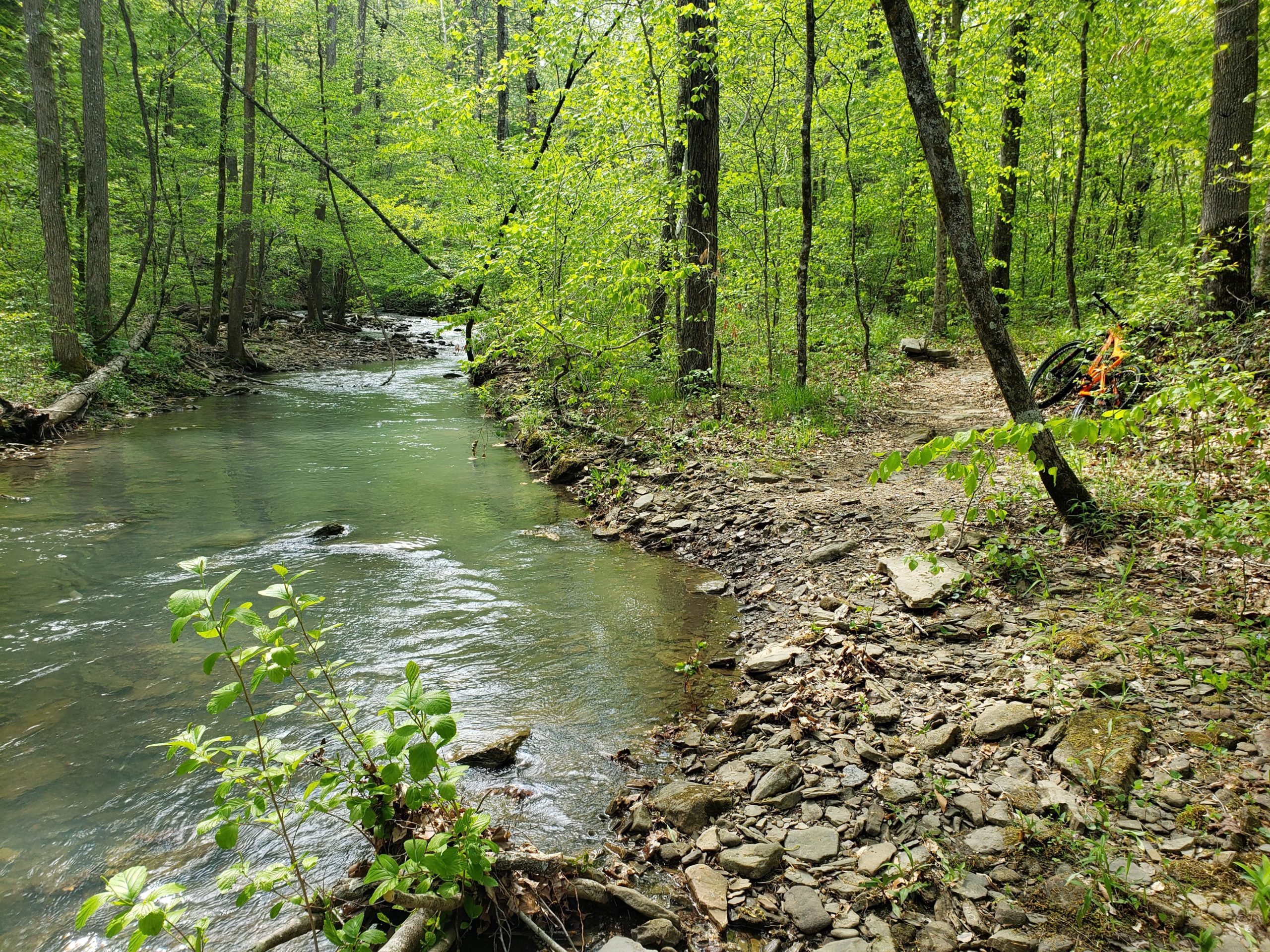 A serene forest scene featuring a winding creek surrounded by lush green trees. A rocky path runs alongside the water, and a bicycle can be seen leaned against a tree in the background, suggesting a peaceful outdoor activity. Upper Buffalo Headwaters Trail System mountain bike trail.