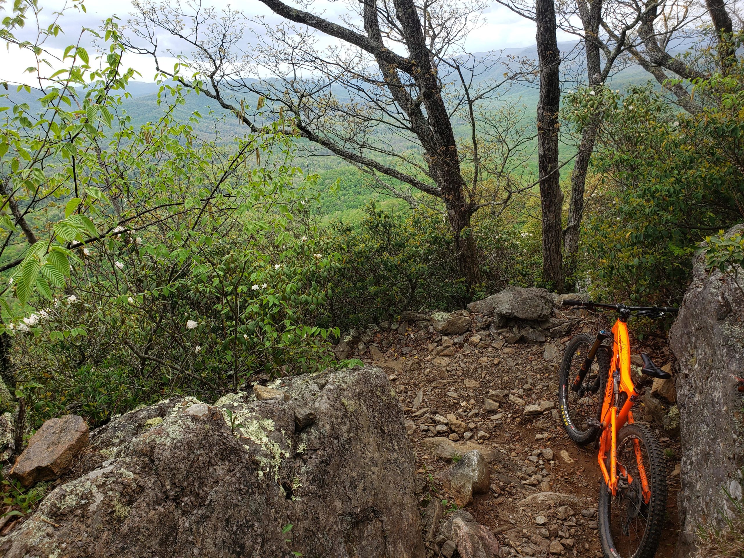 A vibrant orange mountain bike resting against a rock on a wooded trail, overlooking a lush green valley. The scene features the bike in the foreground with rocky terrain, while trees and foliage surround the view, creating a tranquil natural setting. Cloudy skies hint at the possibility of rain. Laurel Mountain mountain bike trail.