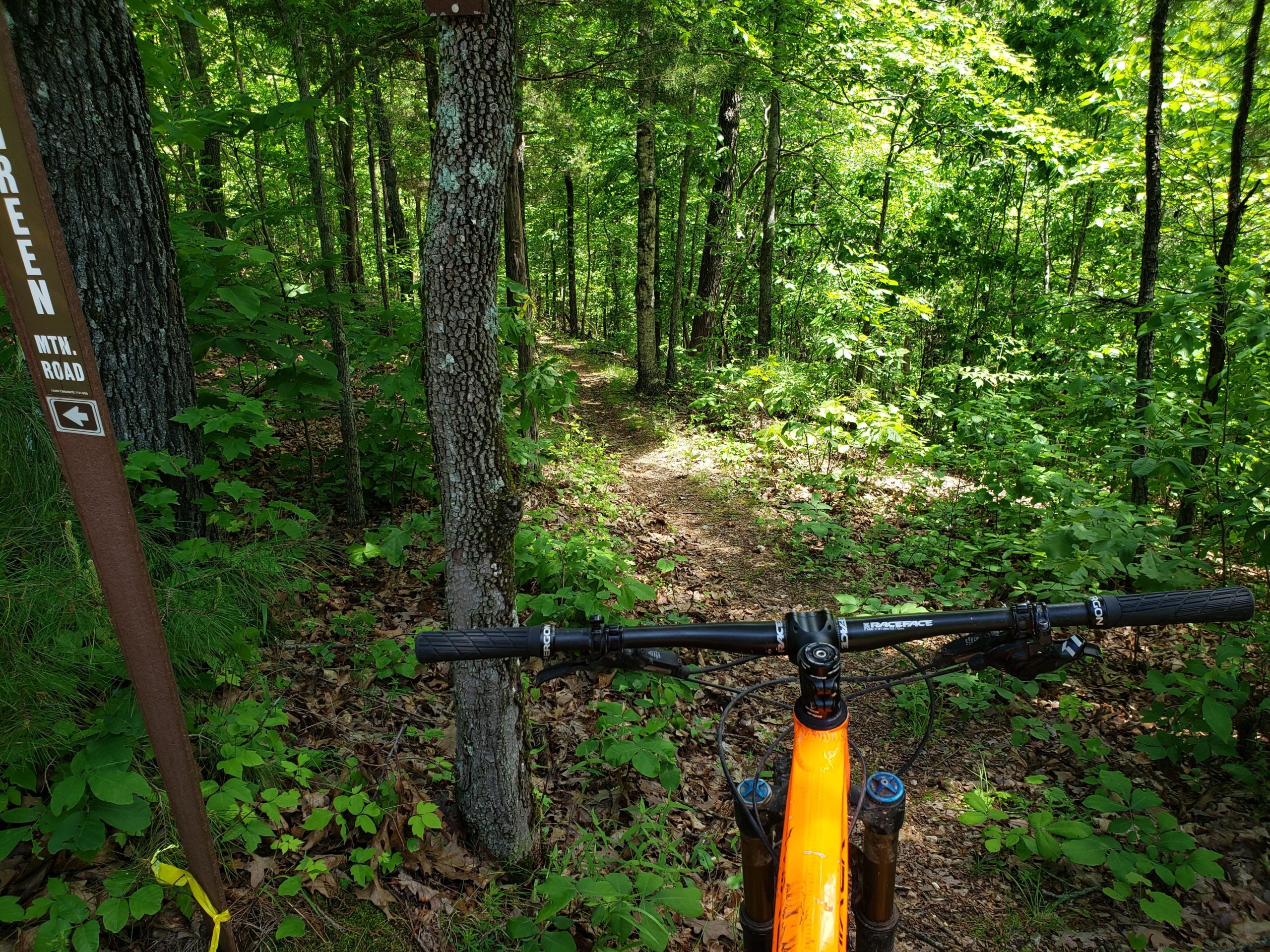 Mountain bike handlebars are visible in the foreground, with a trail leading into a lush, green forest in the background. A signpost stands to the left, indicating a mountain road with a left arrow. Sunlight filters through the trees, illuminating the vibrant foliage and leaf-covered ground. Syllamo Trails mountain bike trail.