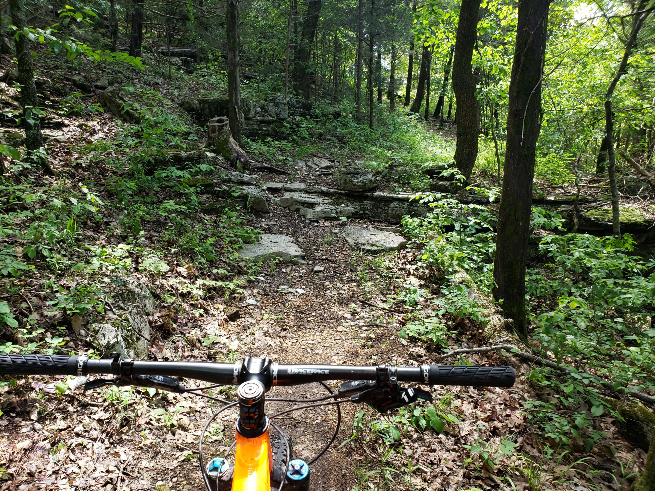A view of a mountain bike handlebar positioned at the start of a narrow, rocky trail surrounded by lush greenery, trees, and sunlight filtering through the leaves. Syllamo Trails mountain bike trail.
