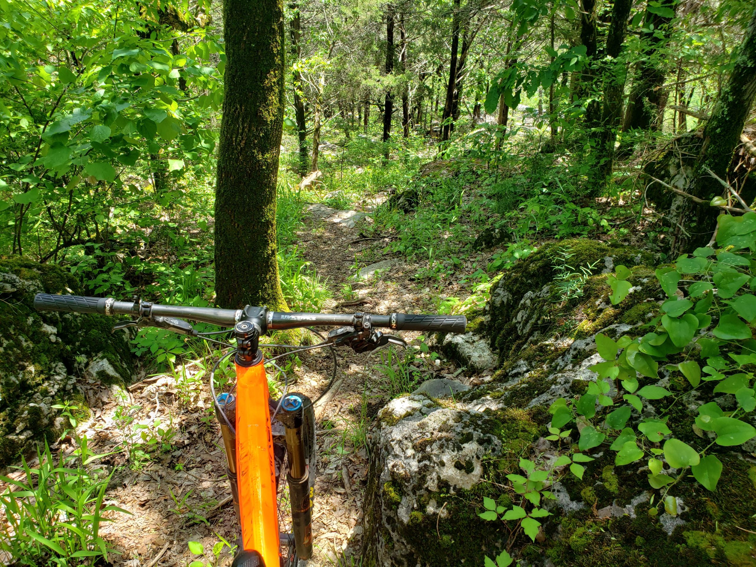 A mountain bike's handlebars are visible in the foreground, with a view of a narrow dirt trail winding through a lush green forest. Sunlight filters through the trees, illuminating moss-covered rocks and a variety of foliage along the path. Syllamo Trails mountain bike trail.