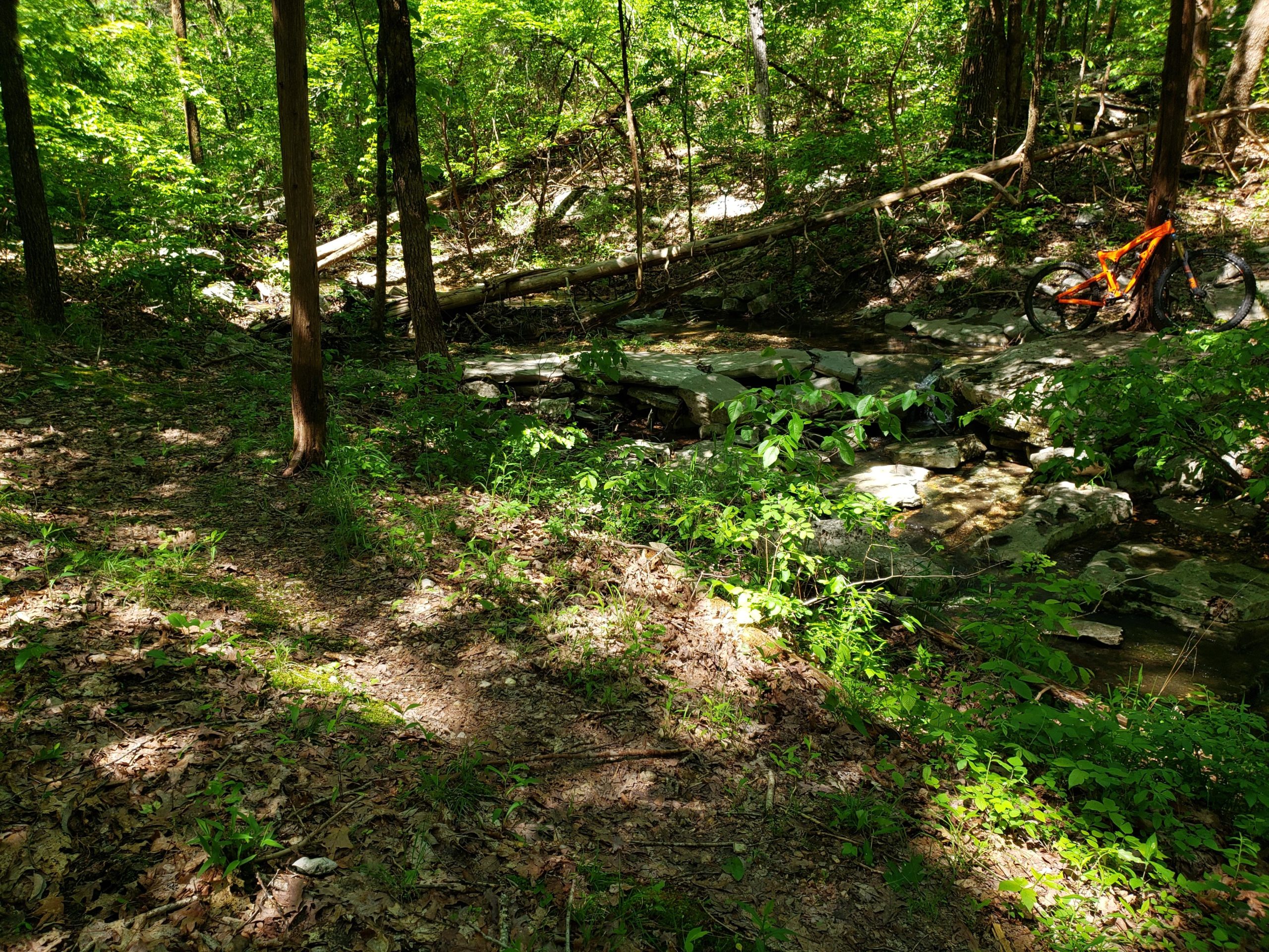 A serene forest scene featuring a winding dirt path surrounded by lush green foliage and tall trees. In the foreground, patches of sunlight filter through the leaves, illuminating the ground covered with leaves and small plants. A rocky stream can be seen in the background, and an orange mountain bike is positioned next to a tree near the water. Syllamo Trails mountain bike trail.