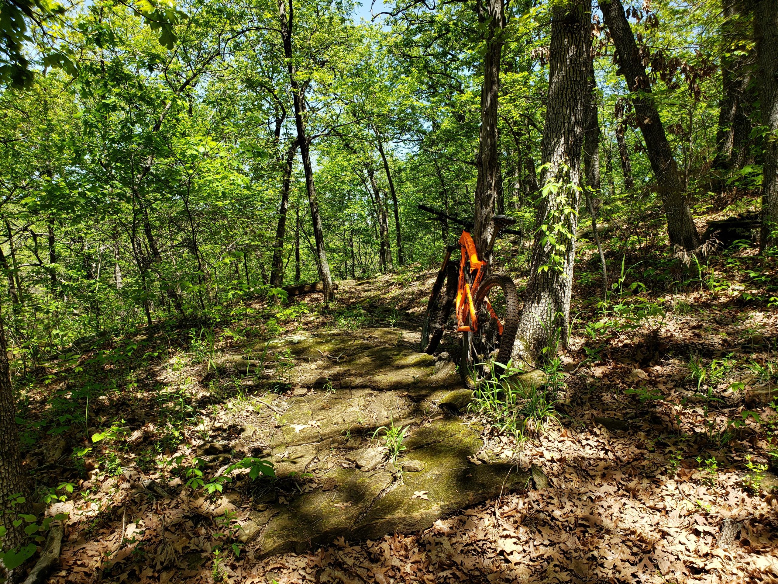 A mountain bike is leaning against a tree on a rocky path surrounded by lush green foliage and scattered dry leaves in a forested area. Sunlight filters through the trees, illuminating the scene. Badger Creek South Trail mountain bike trail.