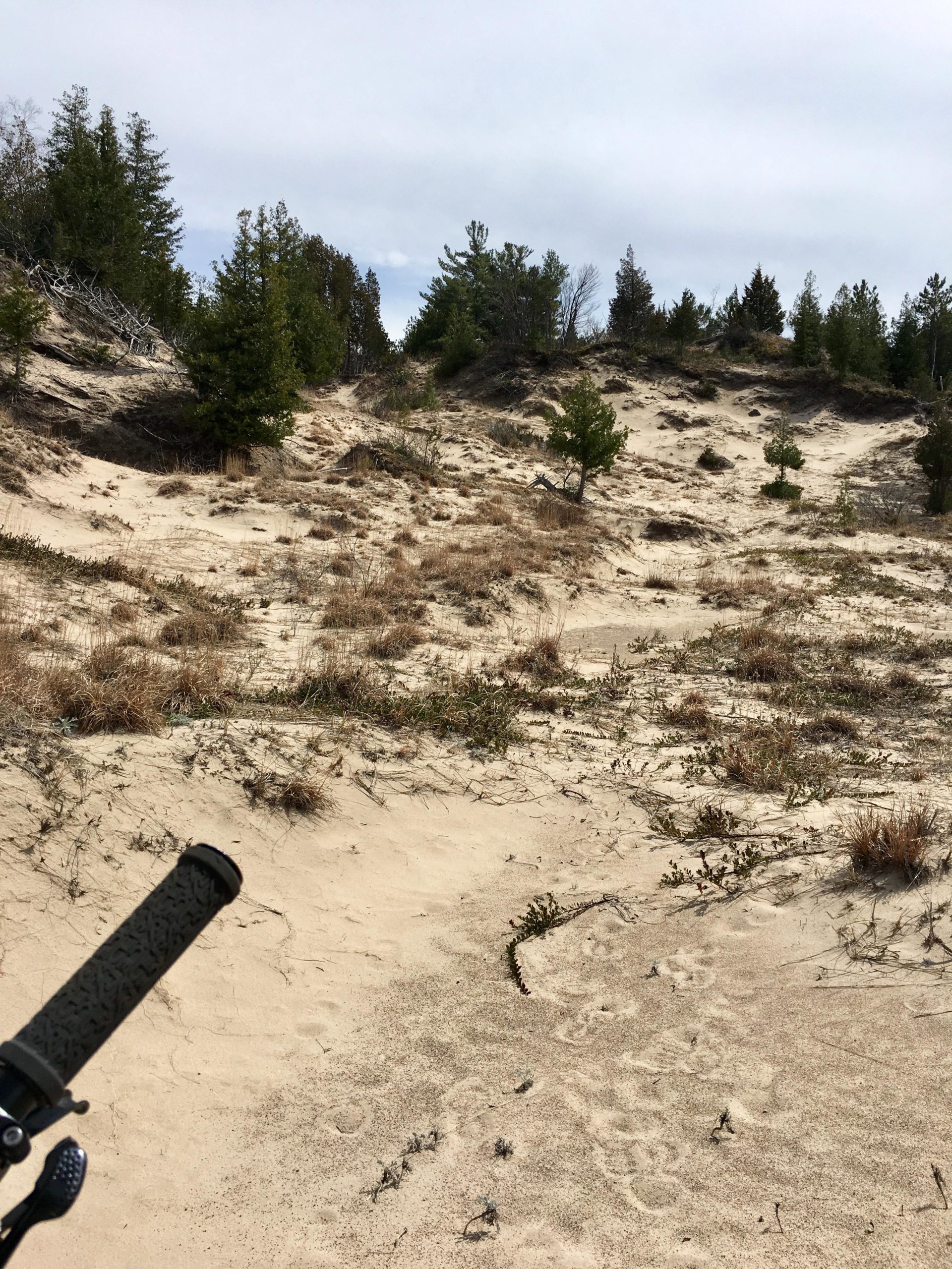 A sandy landscape with gentle hills and sparse vegetation, including patches of grass and small shrubs. In the foreground, a portion of a bicycle handlebar is visible, suggesting an outdoor biking or exploration activity. The sky is overcast, and trees are visible in the background, marking the edges of the sandy area. Pinery Provincial Park mountain bike trail.