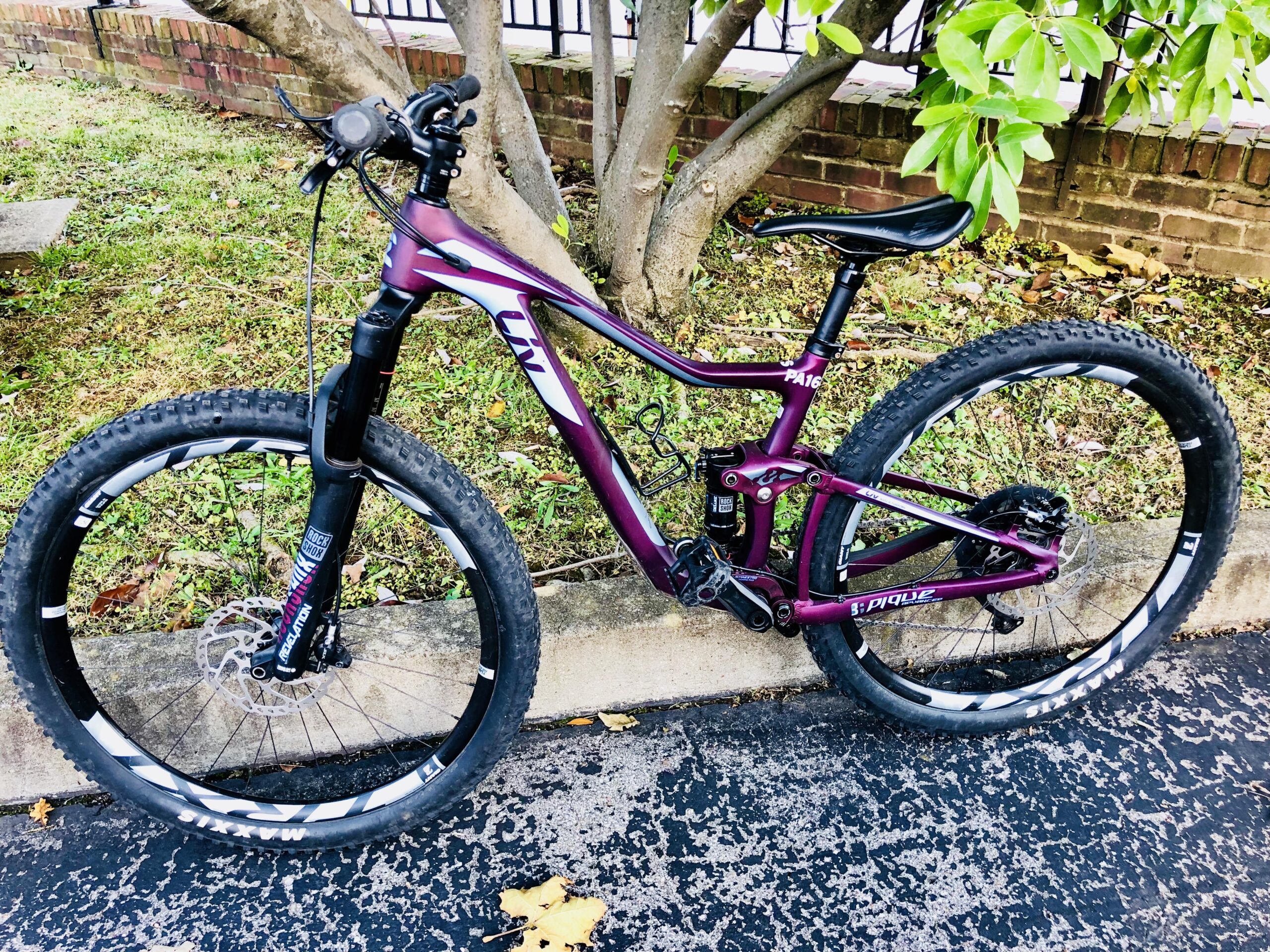 LIV Pique: A purple mountain bike parked beside a tree and grassy area, showcasing its front suspension, thick tires, and a visible disc brake on the front wheel. The bike is positioned against a stone curb on a paved surface.