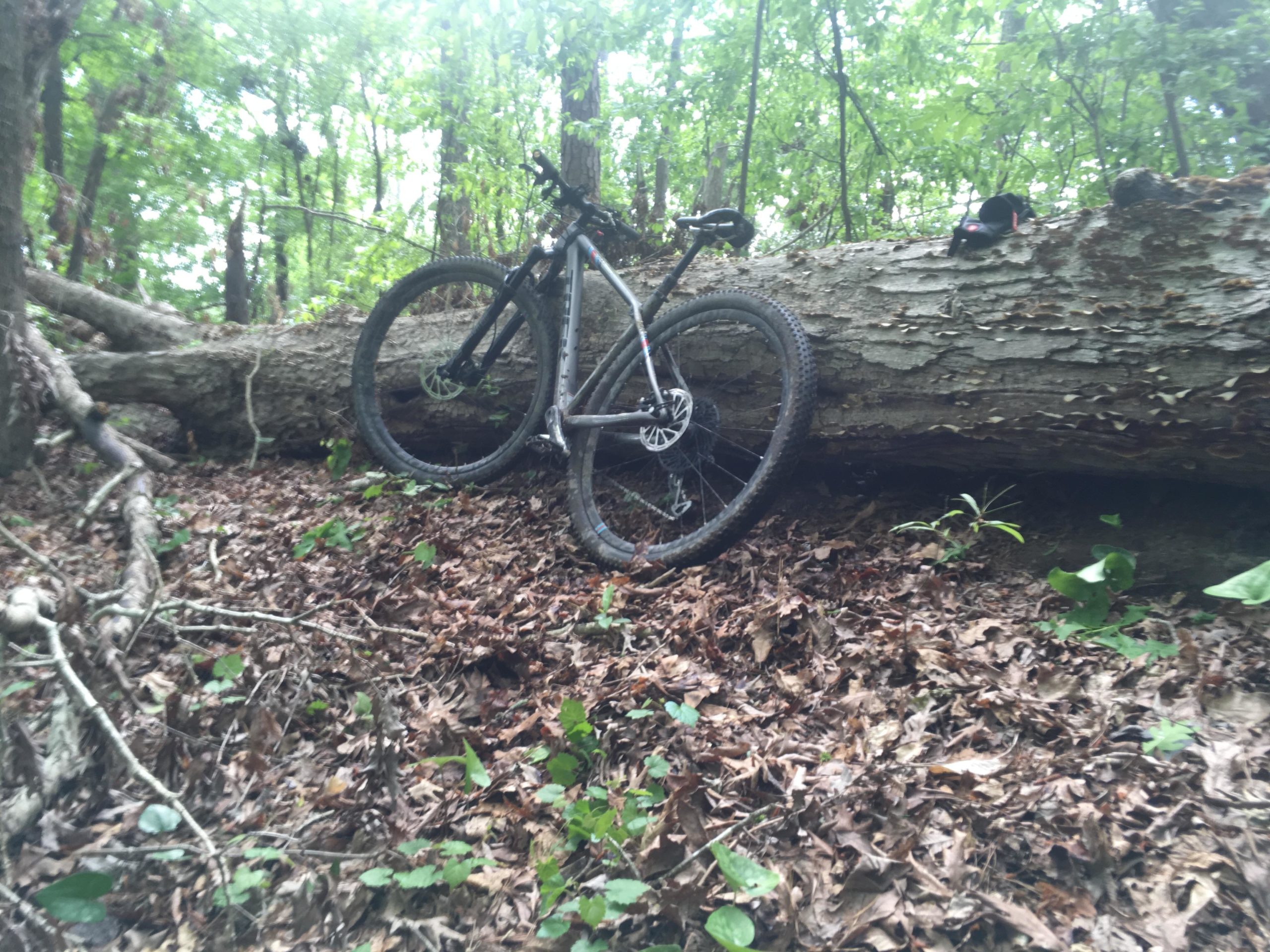 A mountain bike resting against a fallen log in a wooded area, surrounded by fallen leaves and greenery. Saluda Shoals Park mountain bike trail.