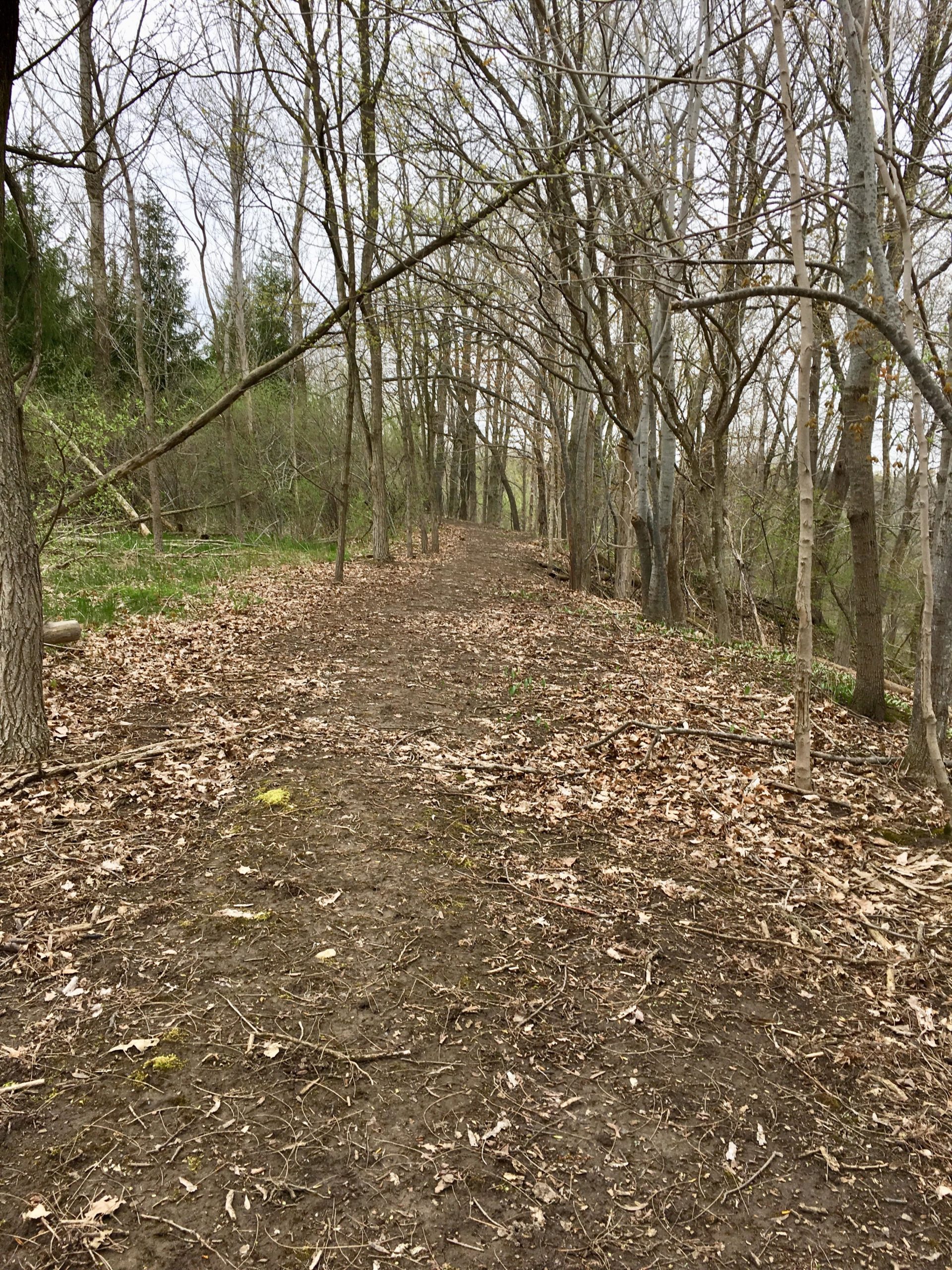 A dirt path winding through a wooded area with bare trees and scattered leaves on the ground, indicating early spring. The scene is tranquil, with greenery emerging in the background. Parkhill Conservation area and rail trail mountain bike trail.