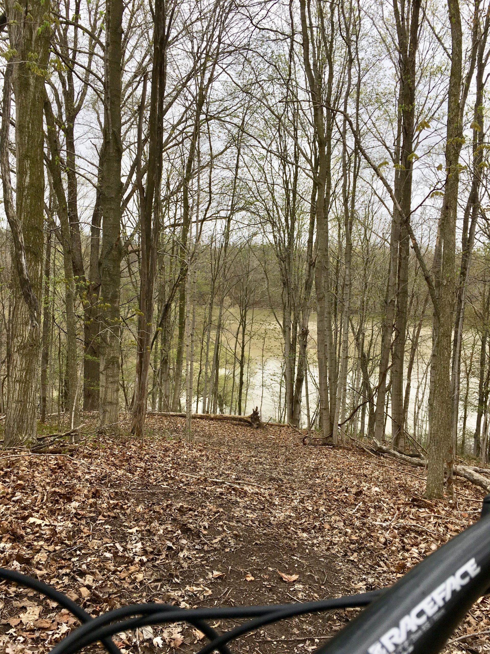 A forest scene with leafless trees in early spring, showing a narrow dirt trail covered in leaves. The view is from the perspective of a mountain bike handlebar, overlooking a body of water in the background. The atmosphere is calm and natural, with a sense of adventure. Parkhill Conservation area and rail trail mountain bike trail.