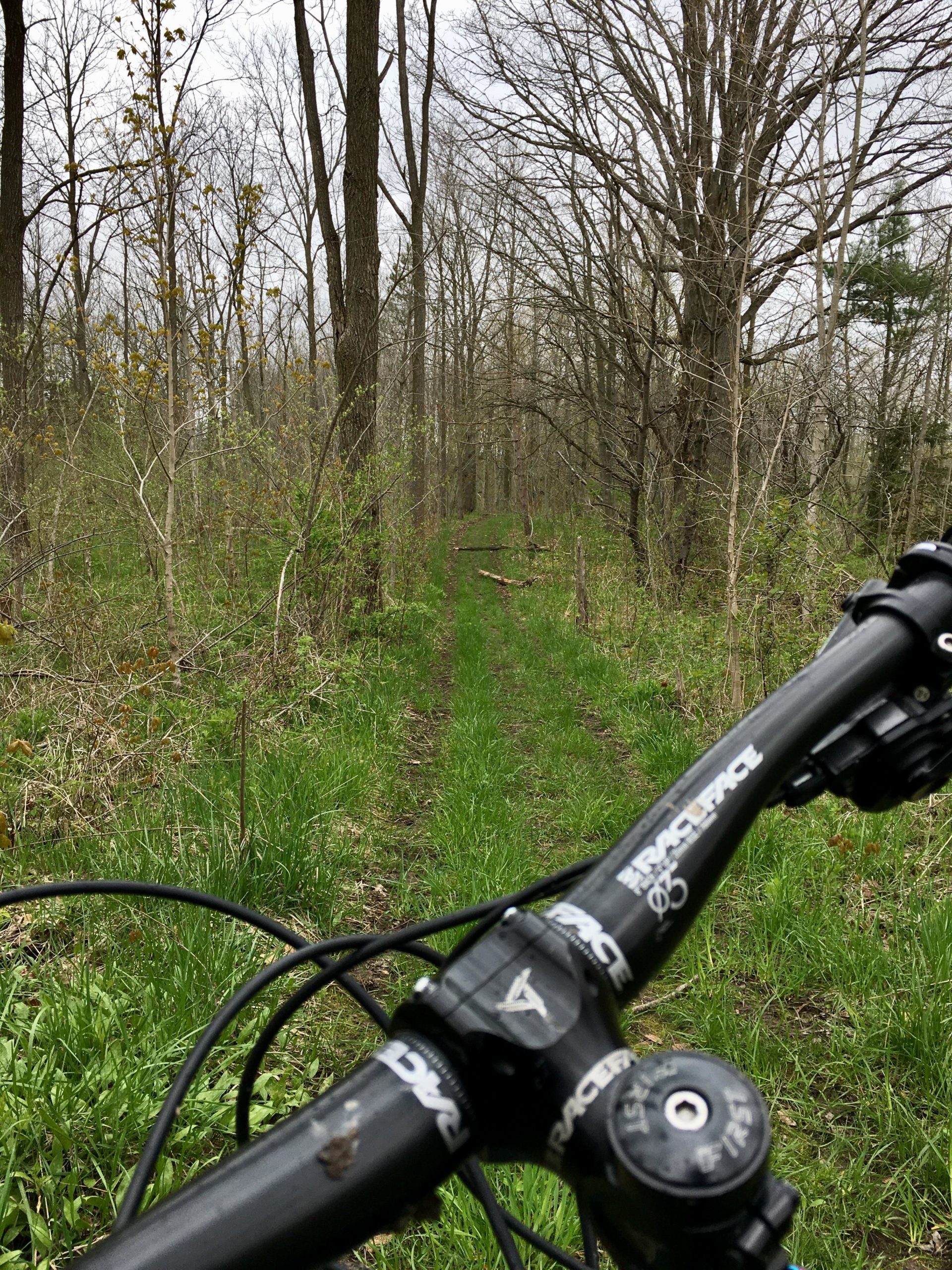 A view from the handlebars of a mountain bike on a grassy trail surrounded by trees in a wooded area. The path ahead is narrow and slightly overgrown, suggesting a peaceful outdoor setting on a cloudy day. Parkhill Conservation area and rail trail mountain bike trail.