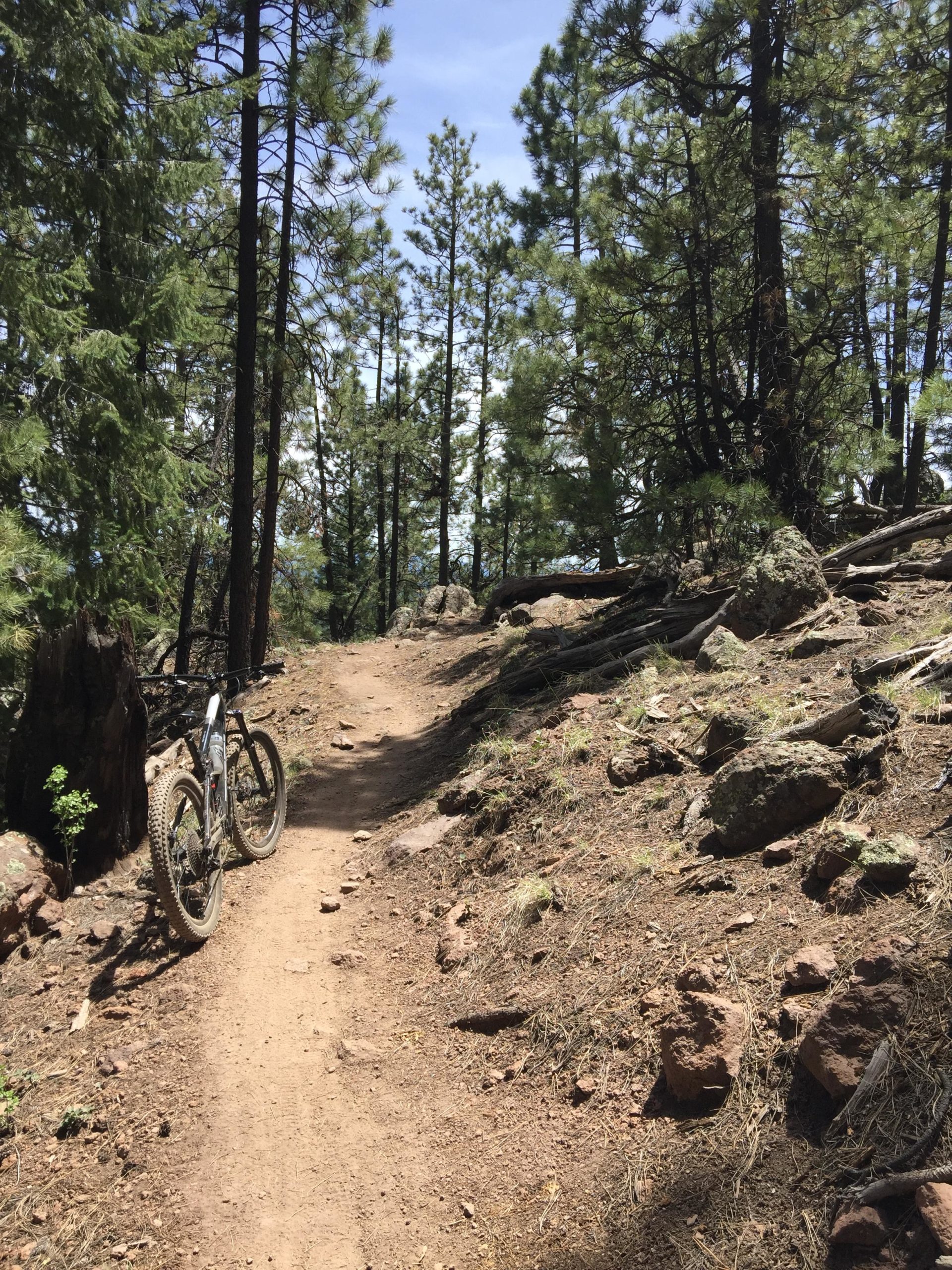 A winding dirt bike trail surrounded by tall green trees and rocky terrain. A mountain bike is parked on the side of the trail, with sunlight filtering through the tree branches above. Arizona Trail: Flagstaff mountain bike trail.
