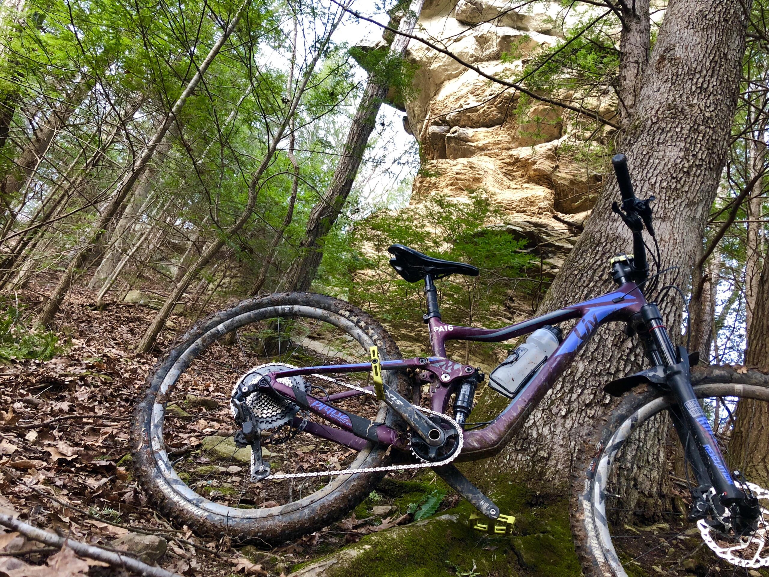 LIV Pique: A mountain bike resting on a forest trail, surrounded by trees and rocky terrain. The bike features a purple frame, visible gear components, and shows signs of dirt from outdoor use. In the background, a large rock formation is partially visible through the foliage.