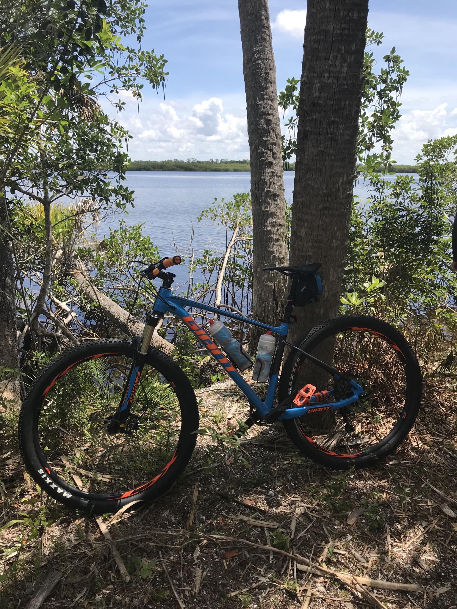 Giant Giant Fathom 2 29er: A blue mountain bike with orange accents is parked near a calm body of water, surrounded by trees and lush vegetation. The sky is partly cloudy, creating a serene outdoor scene ideal for cycling.