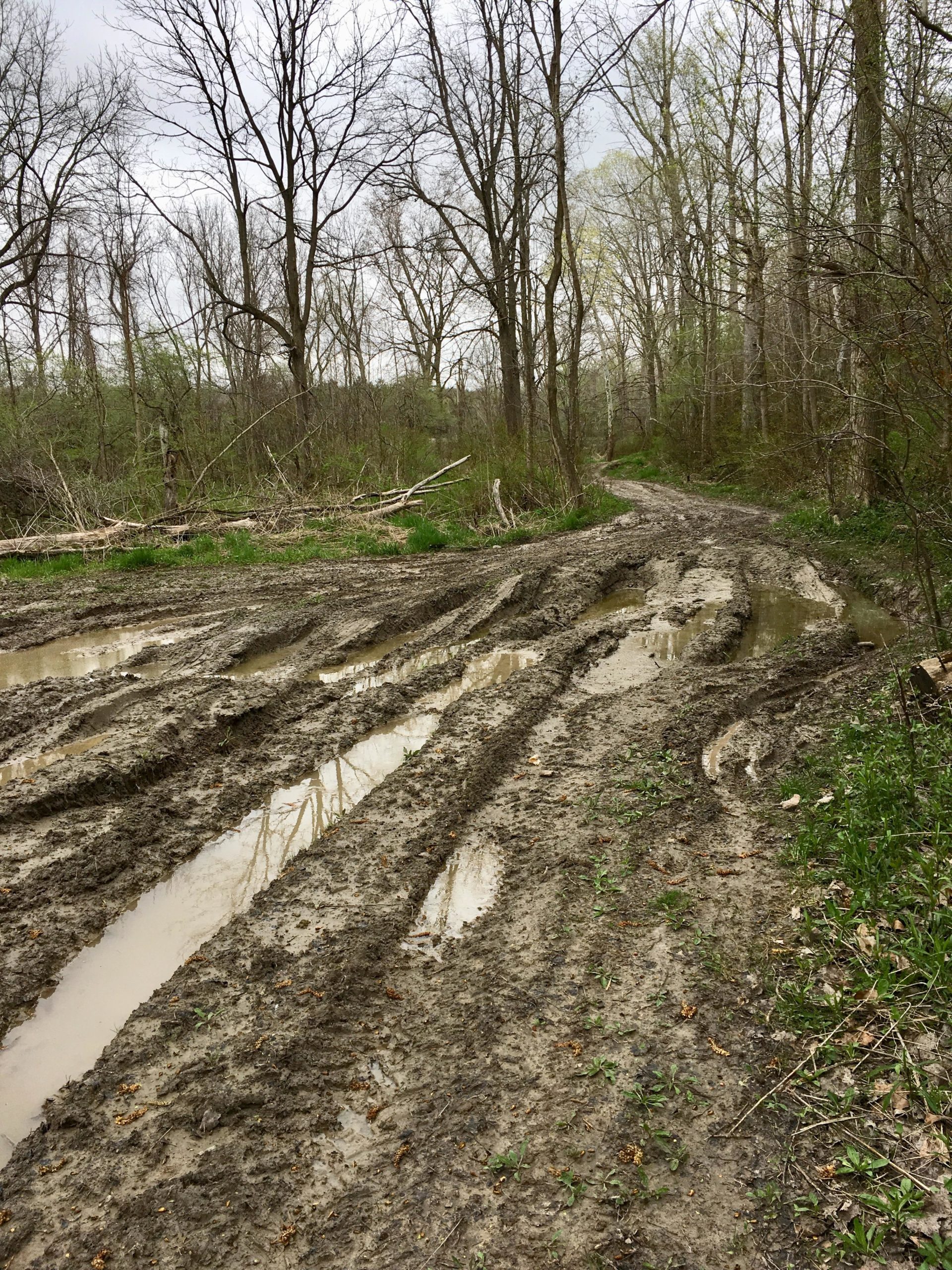 A muddy, rutted dirt path winding through a wooded area with barren trees and patches of grass. Puddles of water are present in the ruts, indicating recent rain. The atmosphere is cloudy and overcast, suggesting a damp environment. Parkhill Conservation area and rail trail mountain bike trail.