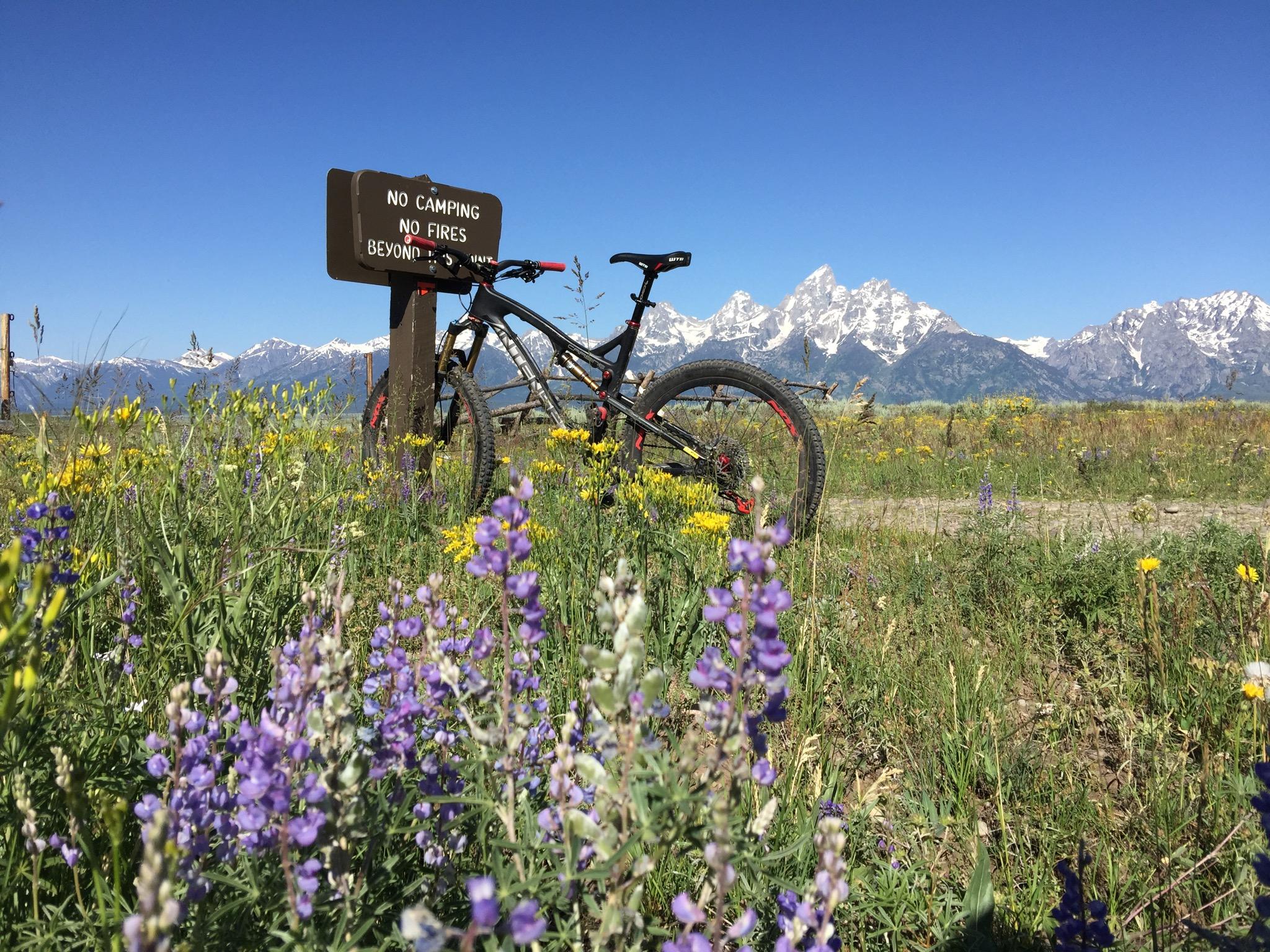 A mountain bike rests beside a "No Camping, No Fires" sign in a field of colorful wildflowers, with snow-capped mountains in the background under a clear blue sky. Shadow Mountain mountain bike trail.