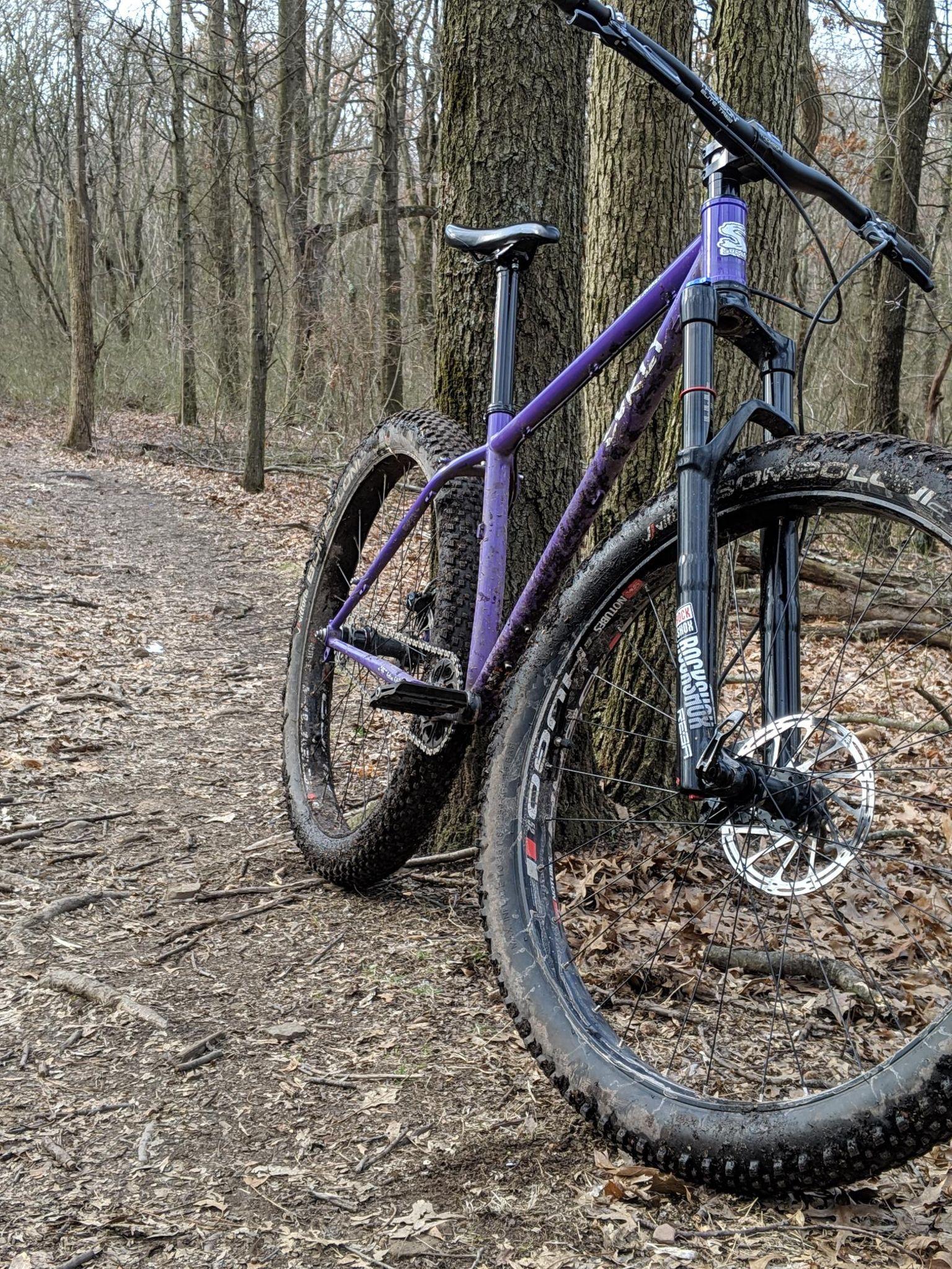 Surly Karate Monkey: A purple mountain bike leaning against a tree on a dirt trail surrounded by bare trees and fallen leaves. The path winds through a wooded area, hinting at nature and outdoor adventure.