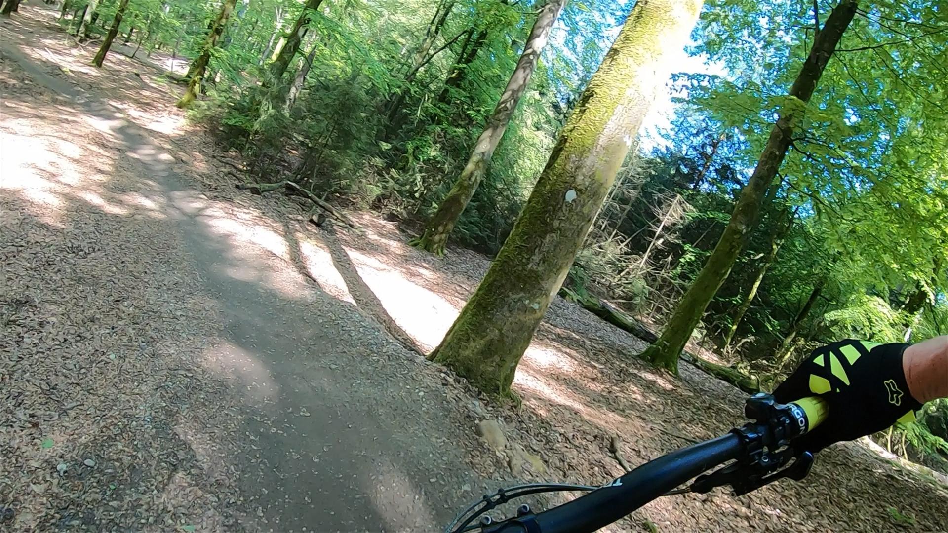 A close-up view of a mountain bike handlebar navigating a dirt path through a lush, green forest. Sunlight filters through the trees, casting shadows on the ground covered in leaves. The scene captures the essence of outdoor cycling in nature. Vesterskoven mountain bike trail.