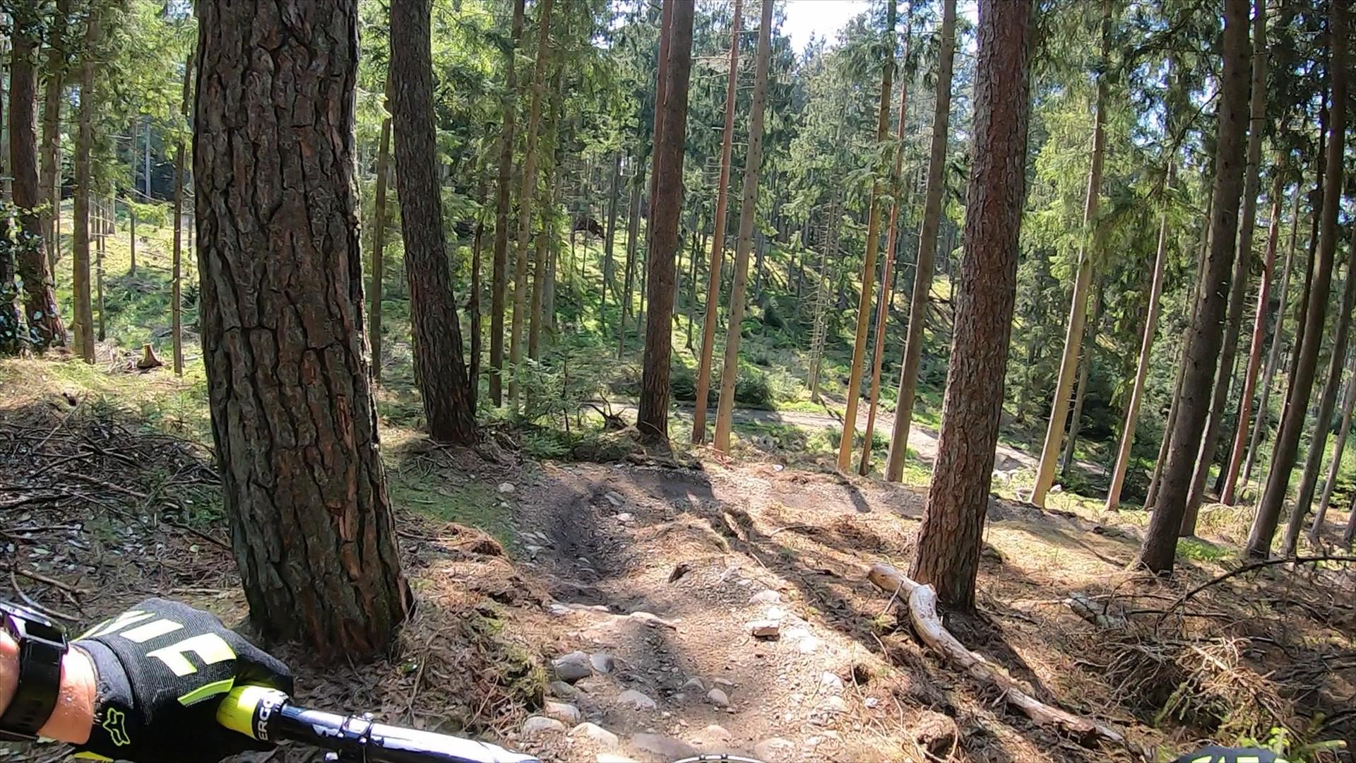 A mountain biker's perspective of a dirt trail progressing through a forest of tall trees, with sunlight filtering through the foliage, and rocky terrain visible along the path. Vesterskoven mountain bike trail.