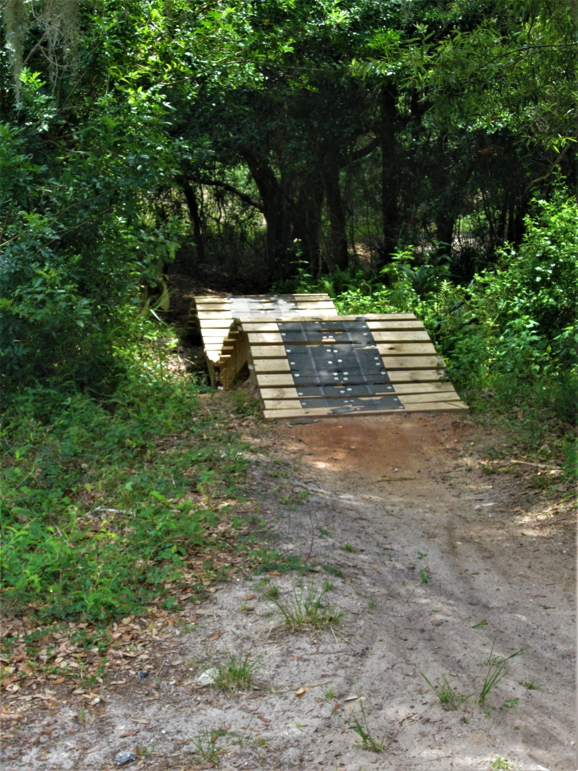 A wooden bike ramp made from planks, leading down an earthen path surrounded by dense greenery and trees. The ramp features a black surface with white markings, designed for use by mountain bikers. Loyce E. Harpe Park mountain bike trail.