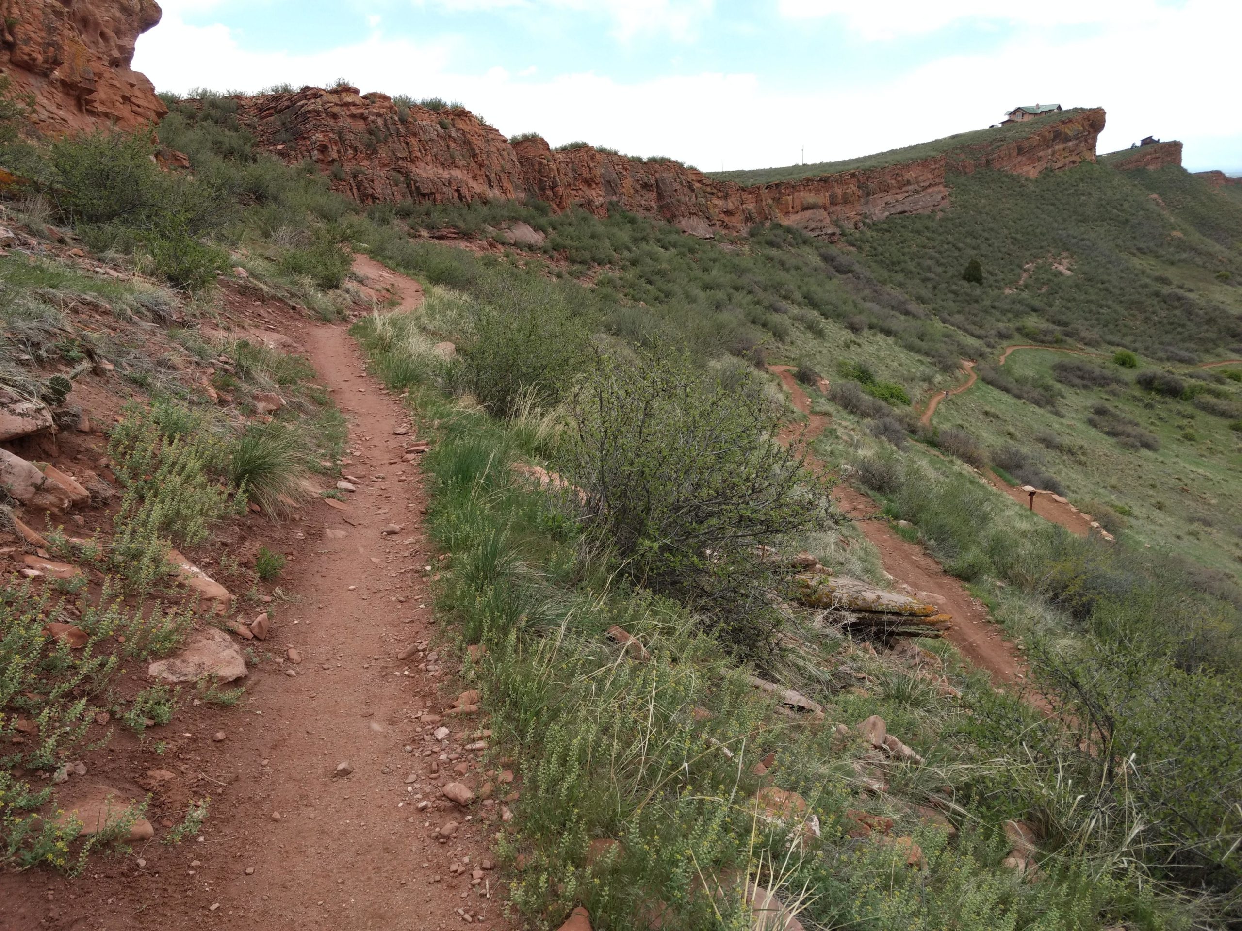 A winding dirt trail surrounded by green grass and shrubs, leading up a hillside with rocky terrain. In the distance, there are steep red rock formations and a house situated at the top of the hill. The sky is partly cloudy. Coyote Ridge mountain bike trail.