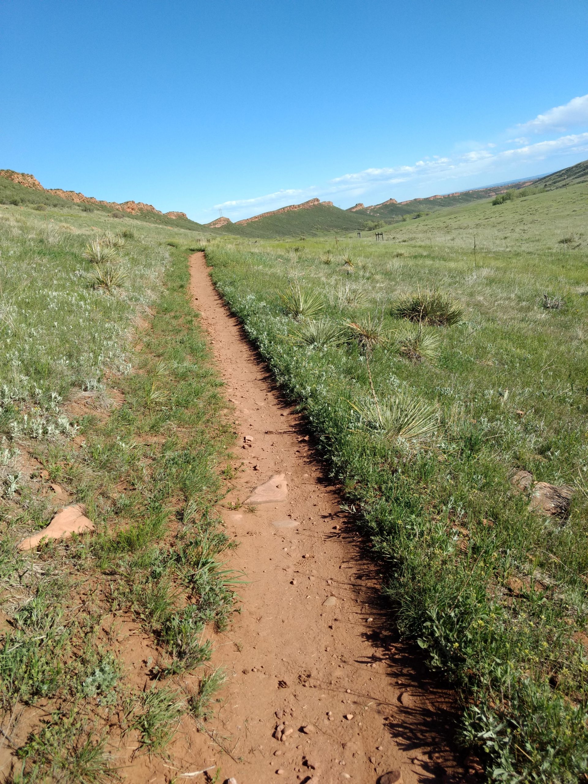 A dirt path winding through a green landscape, bordered by grass and small plants, with rocky hills in the background under a blue sky. Blue Sky mountain bike trail.