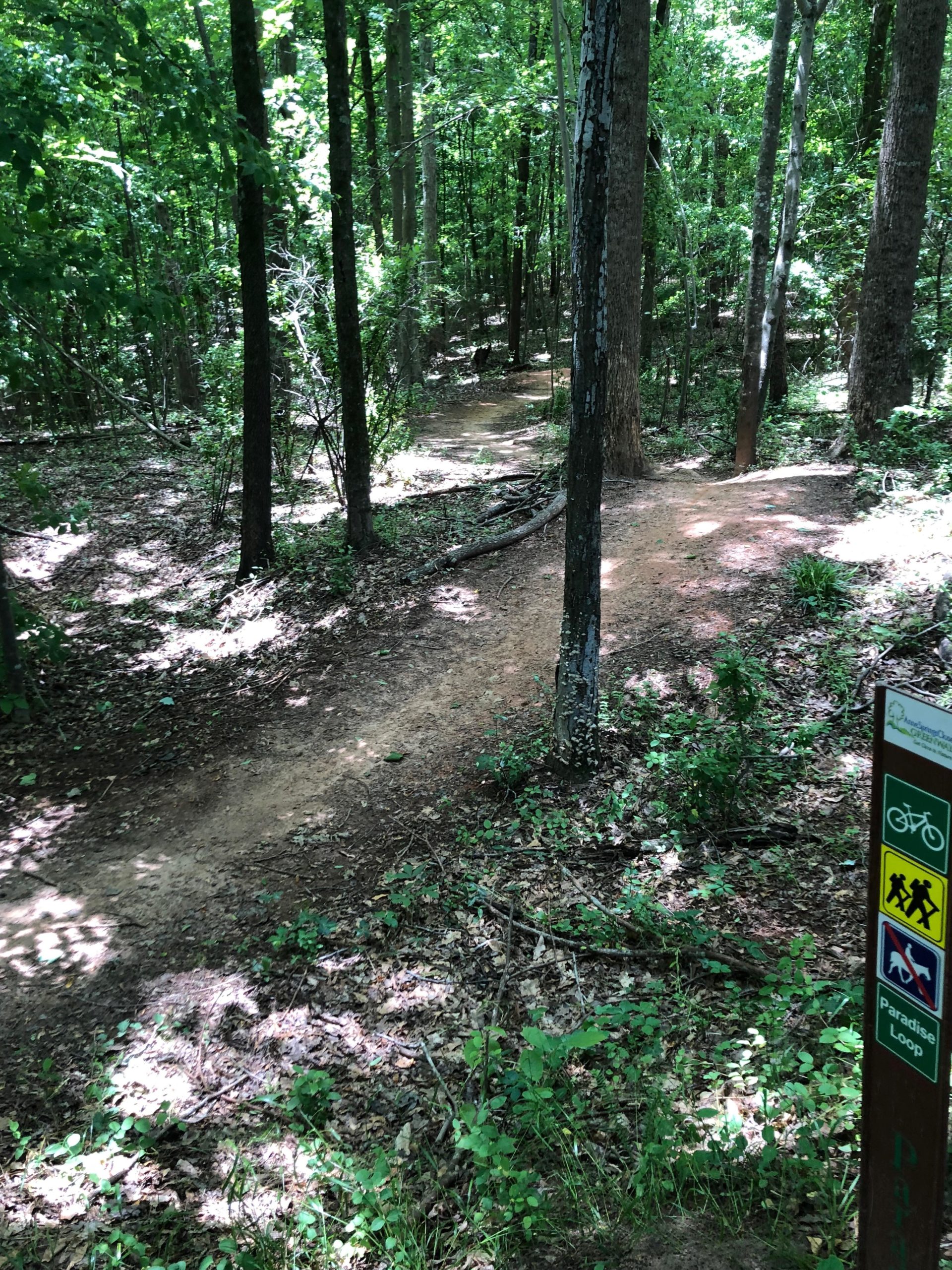 A dirt trail winding through a dense forest with green foliage, sunlight filtering through the trees. A trail sign on the right indicates the path is part of the "Paradise Loop" and is suitable for biking and hiking. Anne Springs Close Greenway mountain bike trail.