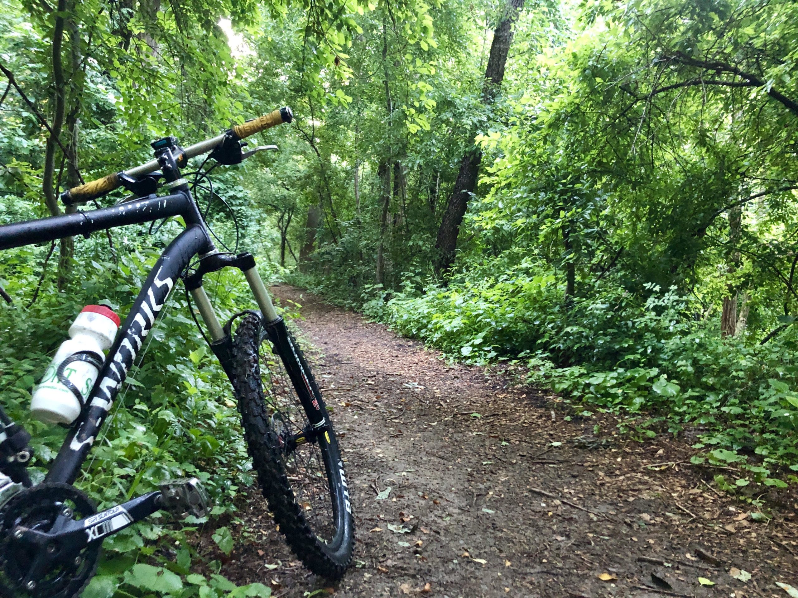 Mountain bike resting on a gravel path surrounded by lush green foliage and trees, depicting a tranquil outdoor trail ideal for biking or hiking. Haverford reserve trails mountain bike trail.