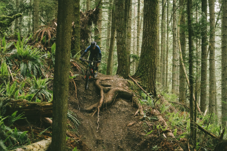 A mountain biker navigating a dirt trail surrounded by tall trees and lush greenery in a forested area. The path features exposed roots and rugged terrain, showcasing a natural setting ideal for outdoor biking adventures.