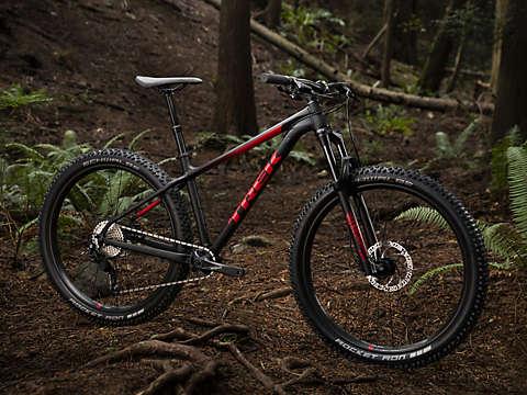 Trek Roscoe 7: A black and red mountain bike is parked on a forest floor, surrounded by trees and ferns. The bike features thick tires and a sturdy frame, designed for off-road terrain. The lighting is soft, suggesting a serene outdoor environment.