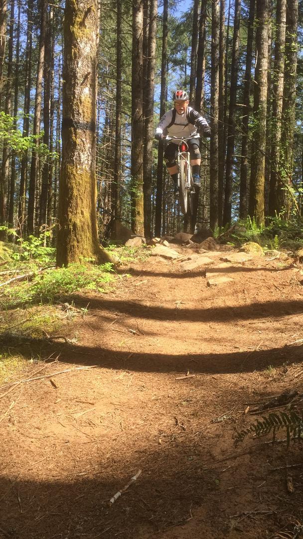 A mountain biker in mid-air, jumping over rocks on a dirt trail in a dense forest. Tall trees surround the scene, and sunlight filters through the leaves, illuminating the rider and the ground. The cyclist wears a helmet and biking gear, showcasing an adventurous moment during a ride. Whypass mountain bike trail.